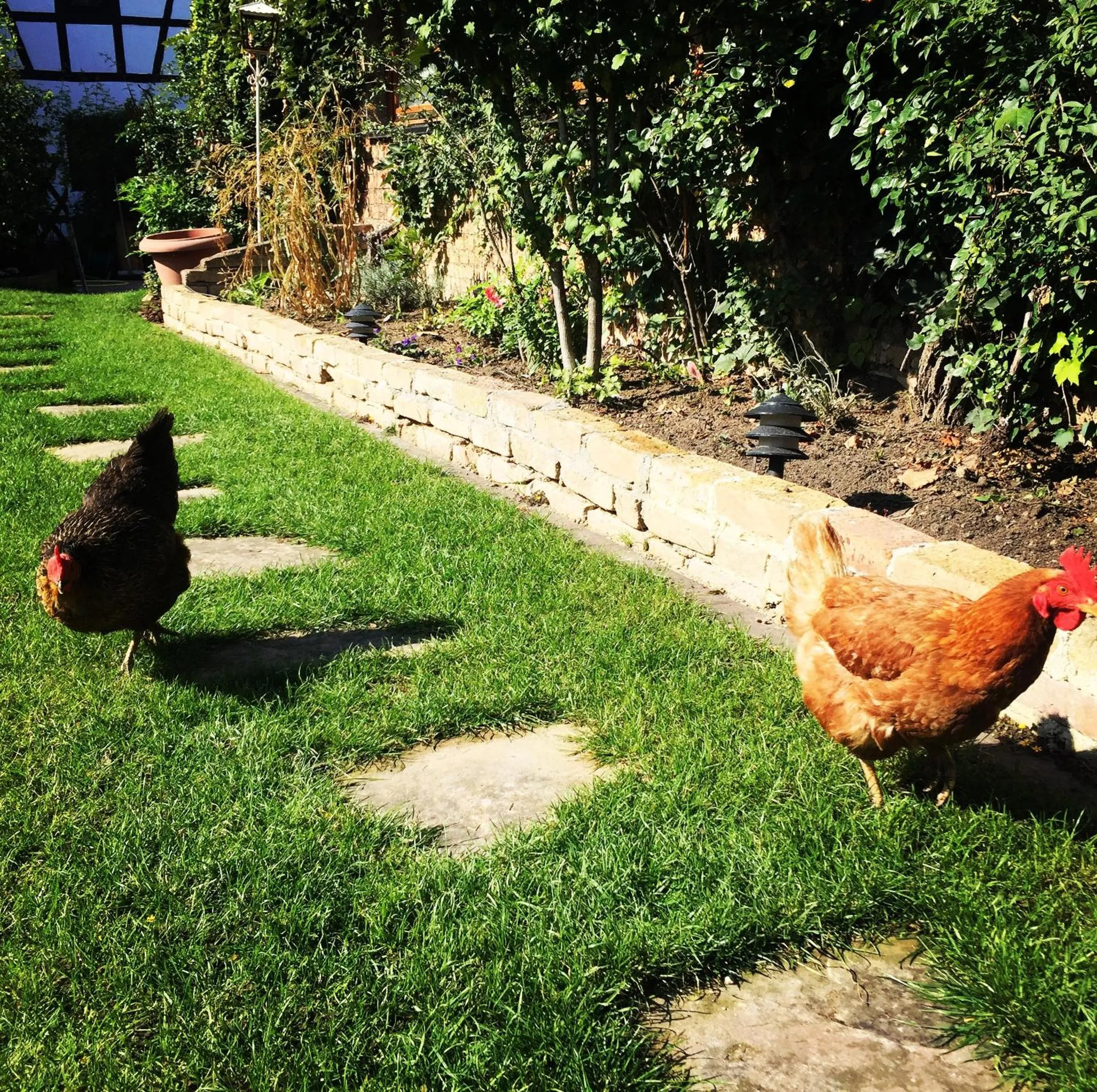 Garden in La Grange aux Coqs