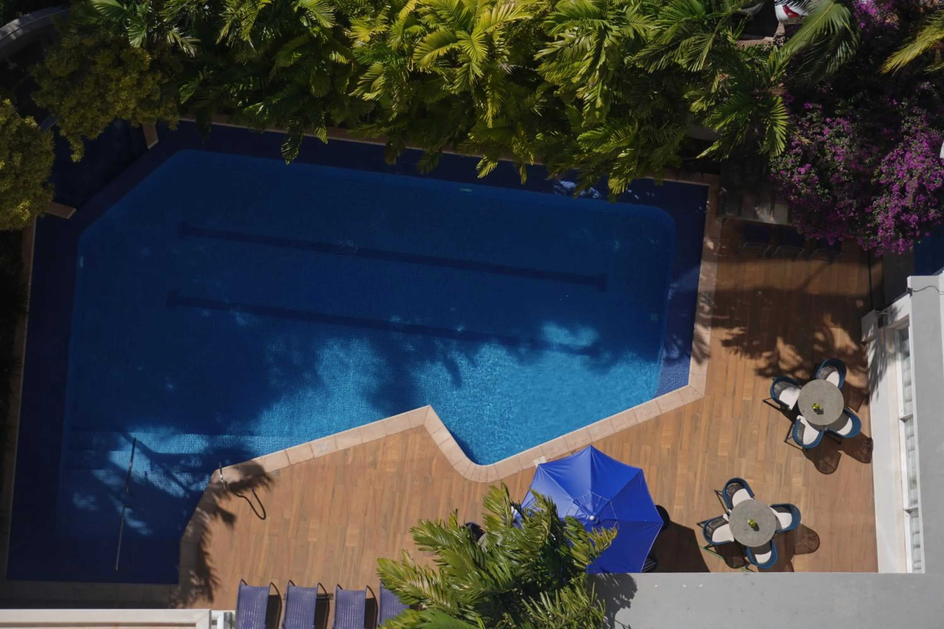 Swimming pool in Radisson Hotel Anápolis