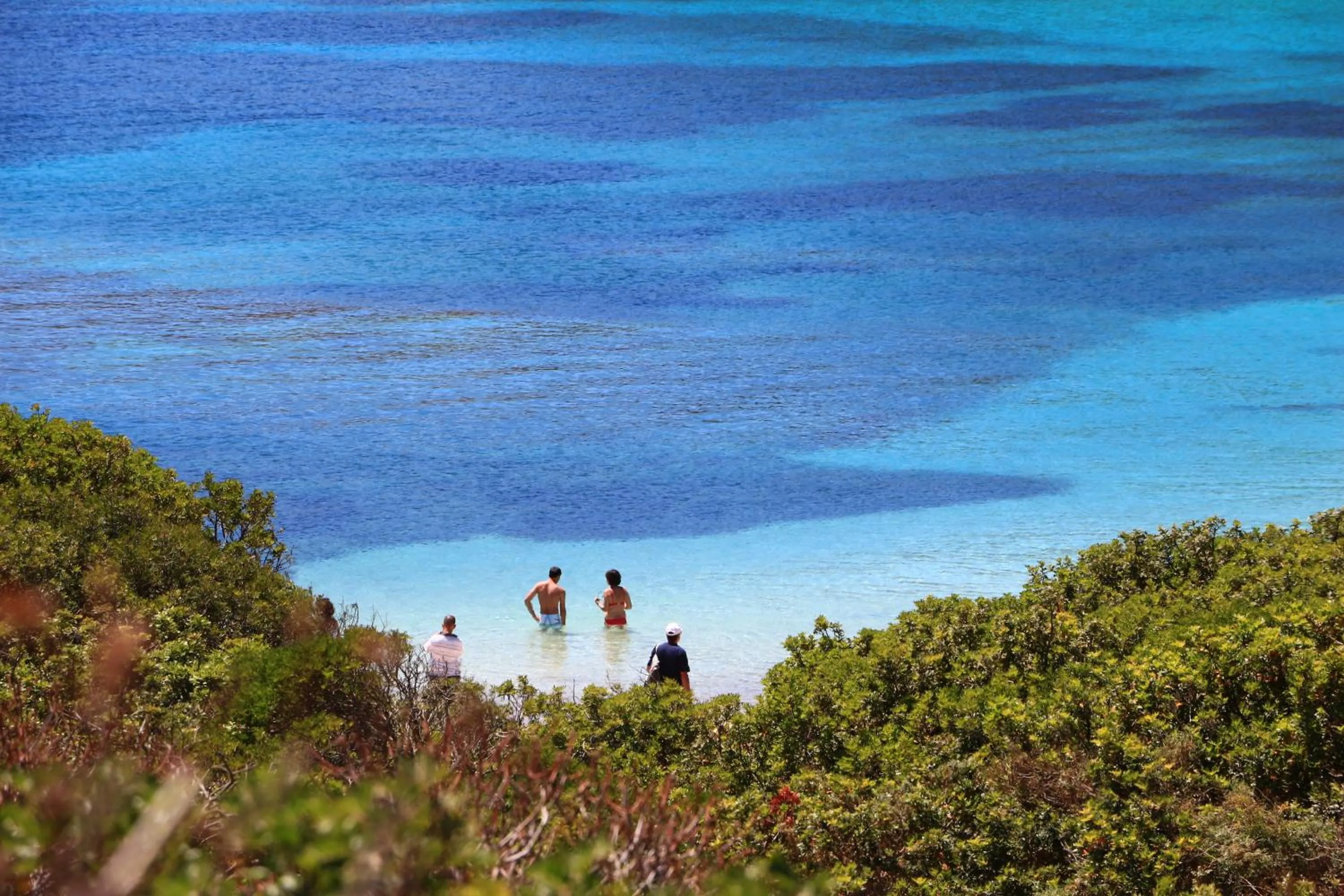 Nearby landmark in Il Melo Residence