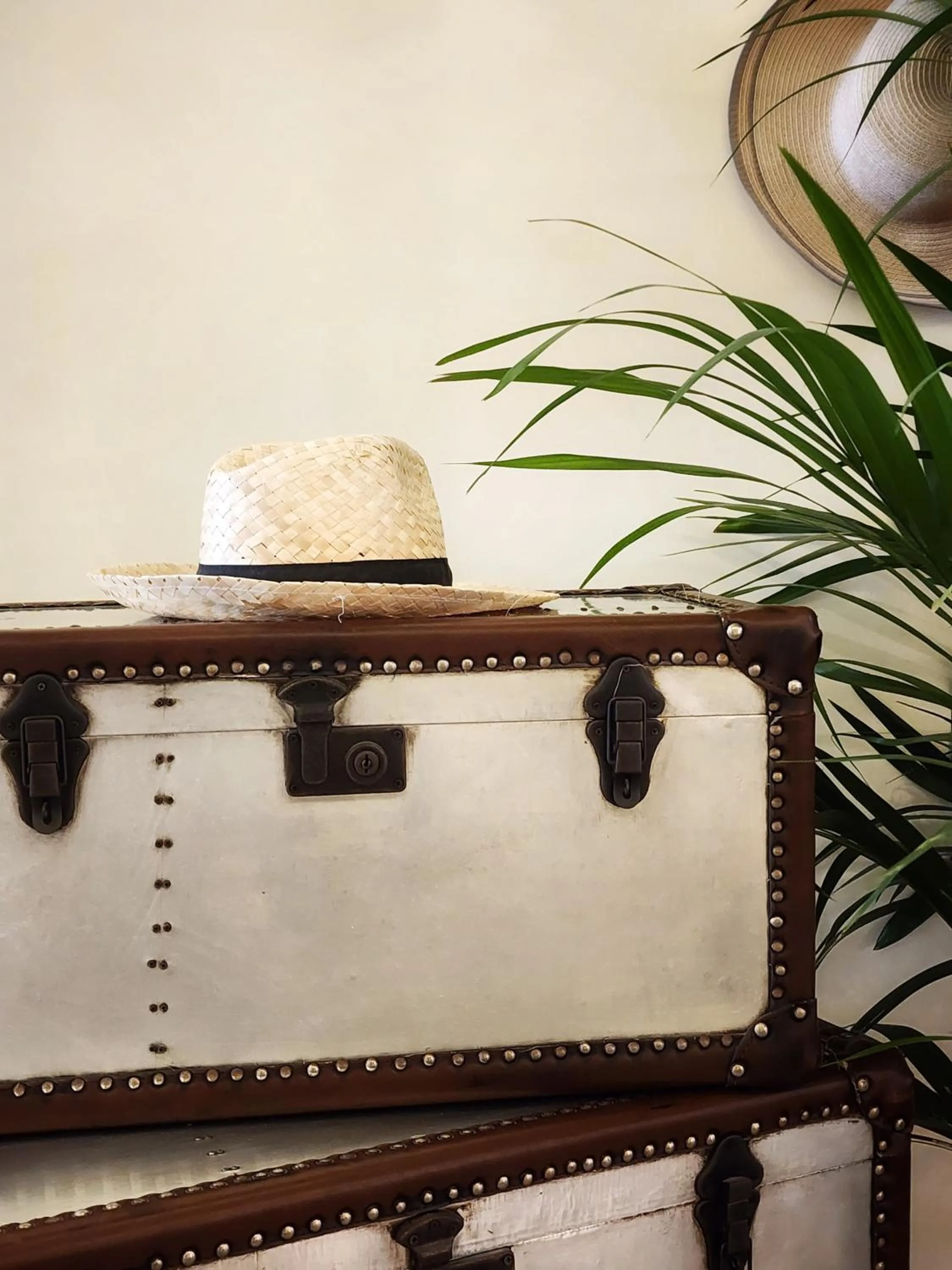 Lobby or reception in Hotel Bellariva