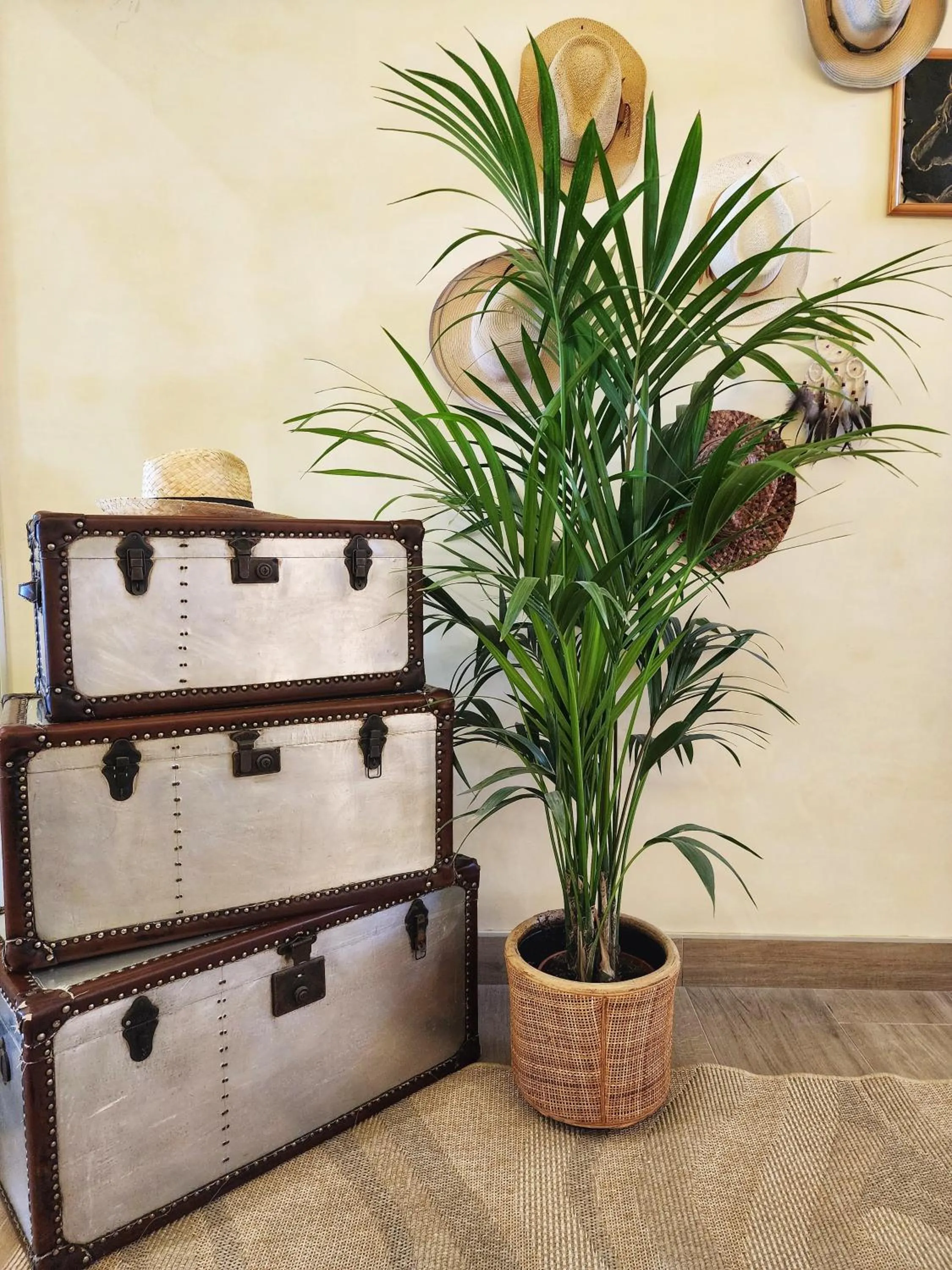 Lobby or reception in Hotel Bellariva