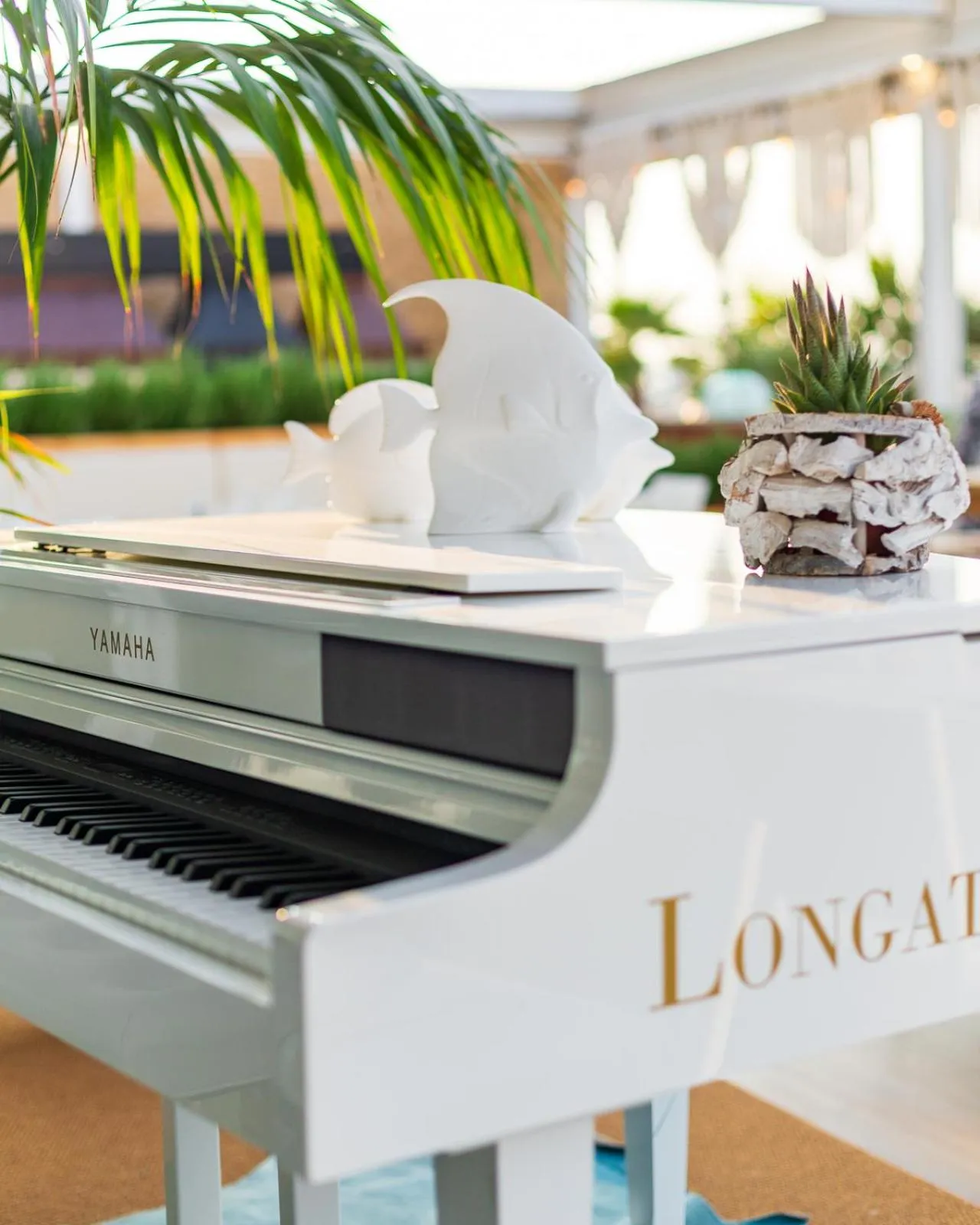 Evening entertainment in Hotel Bellariva