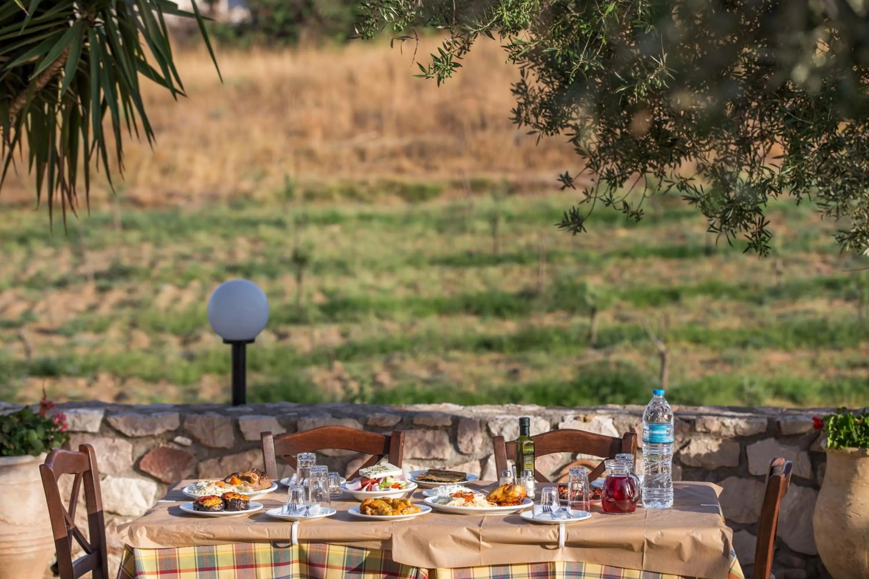 Lunch in Georgia's Houses (Melitzanakia)