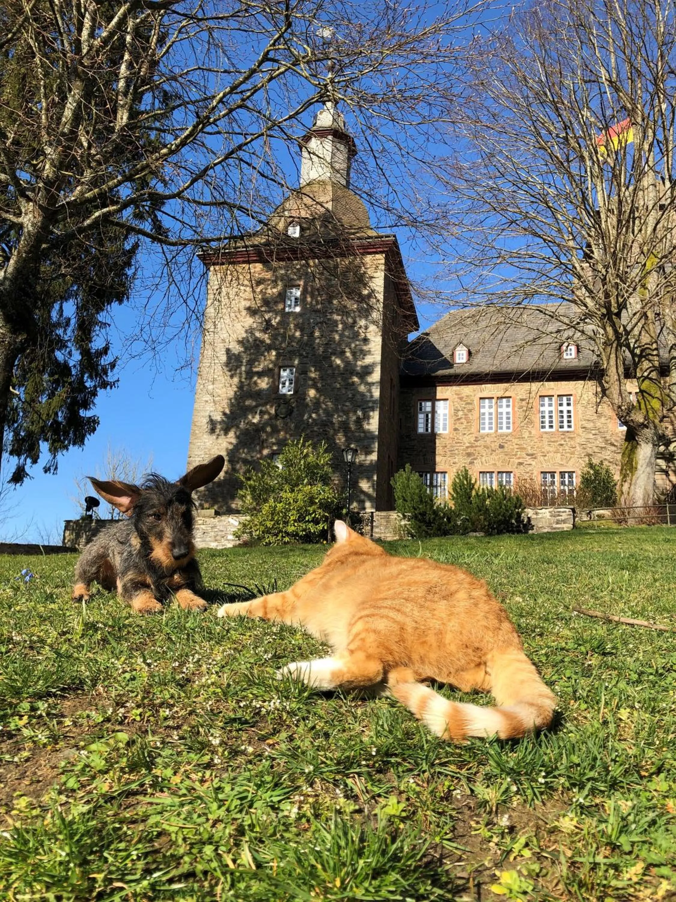 Property building in Hotel und Restaurant Burg Schnellenberg