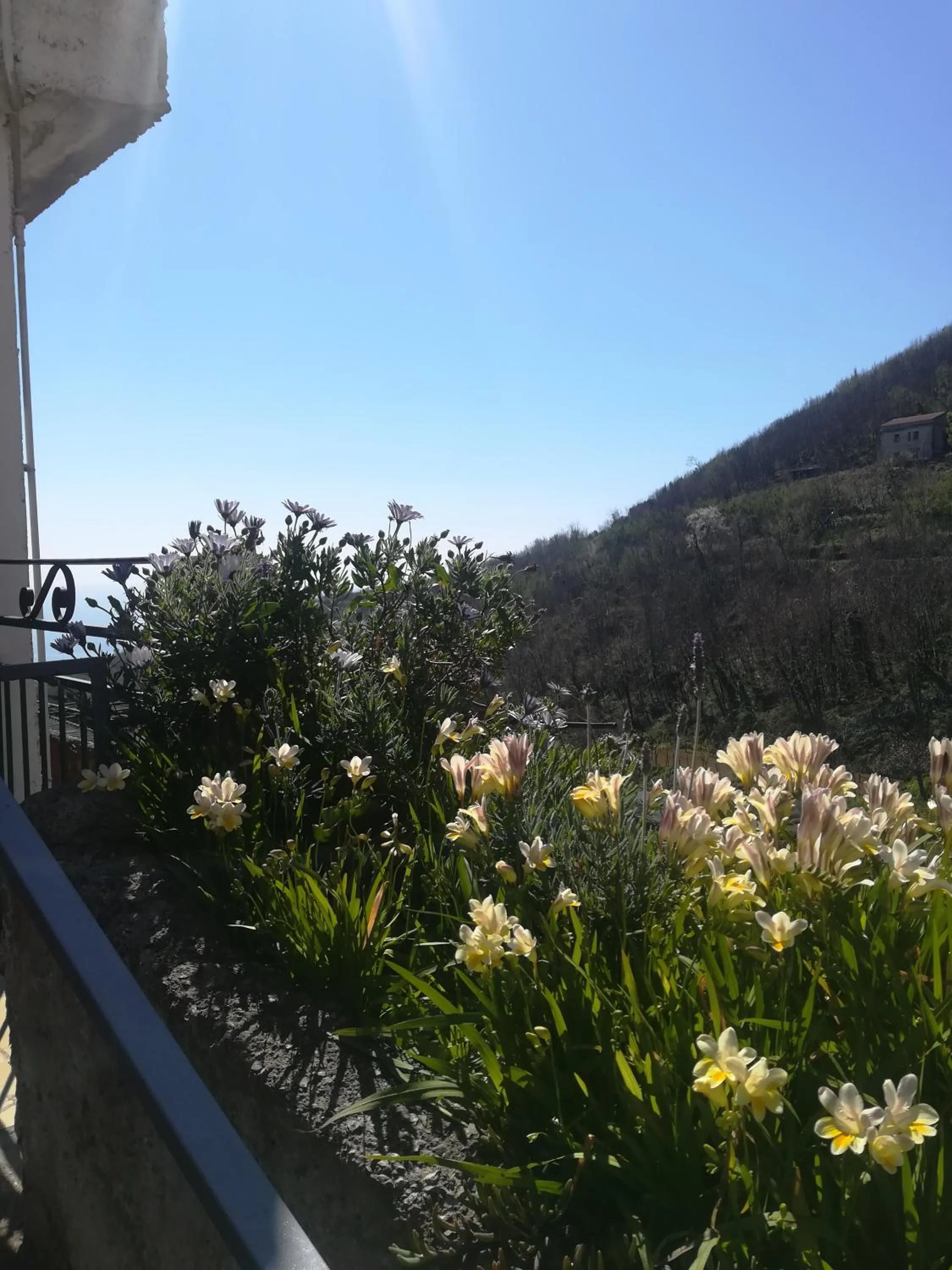 Il Covo delle Civette