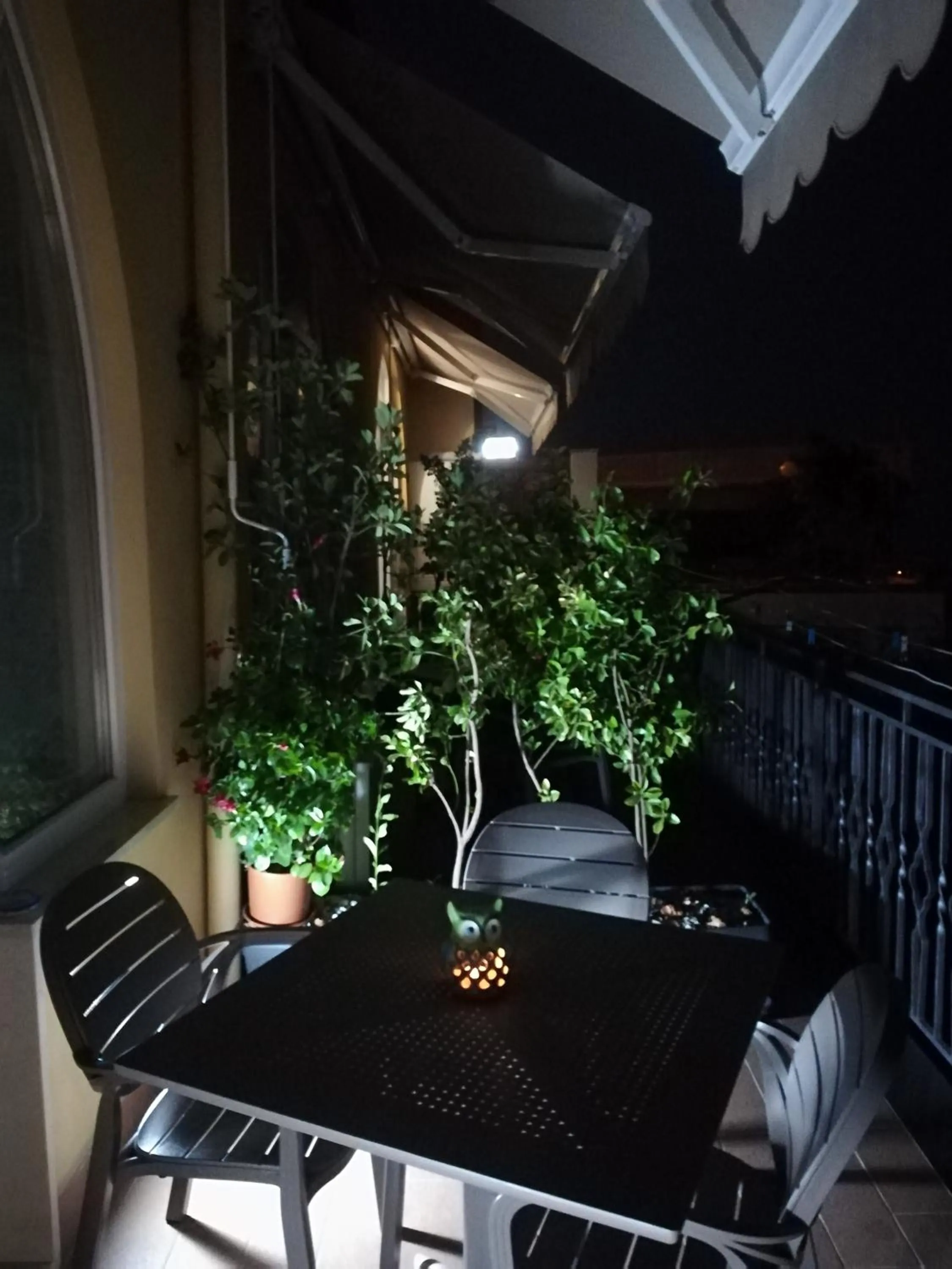 Il Covo delle Civette