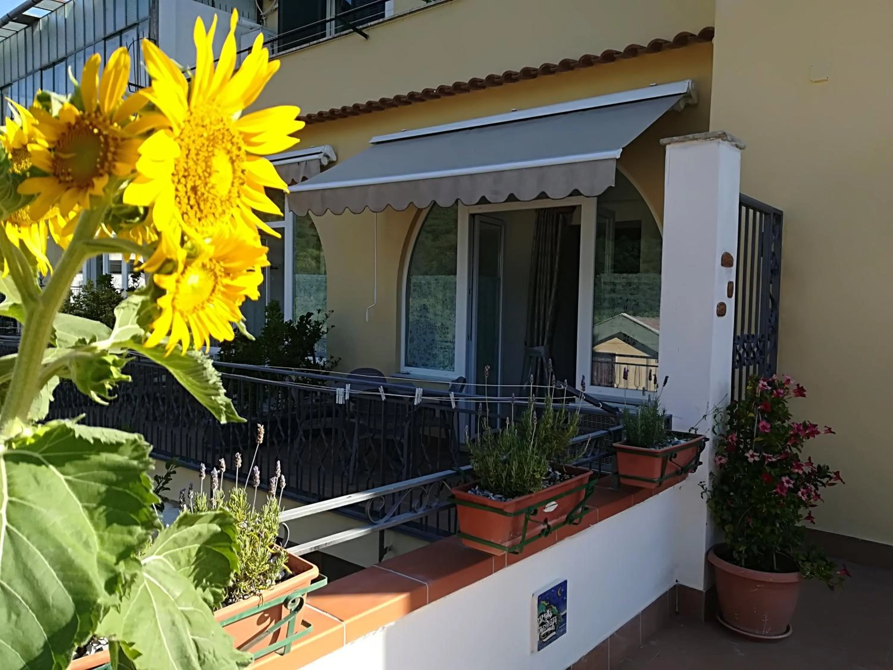 Il Covo delle Civette