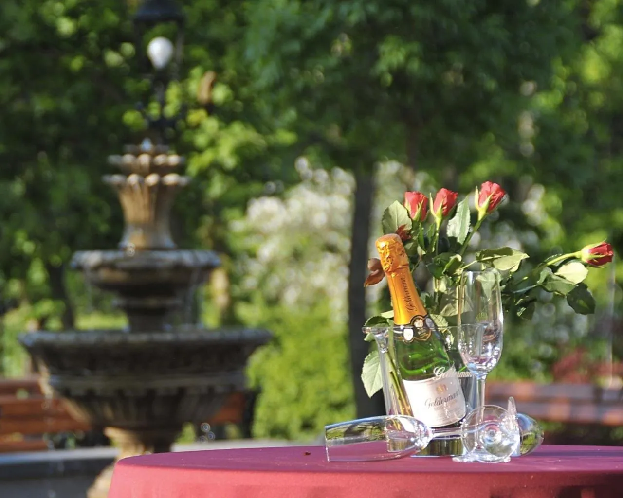 Balcony/Terrace in Waldhotel Rheinbach