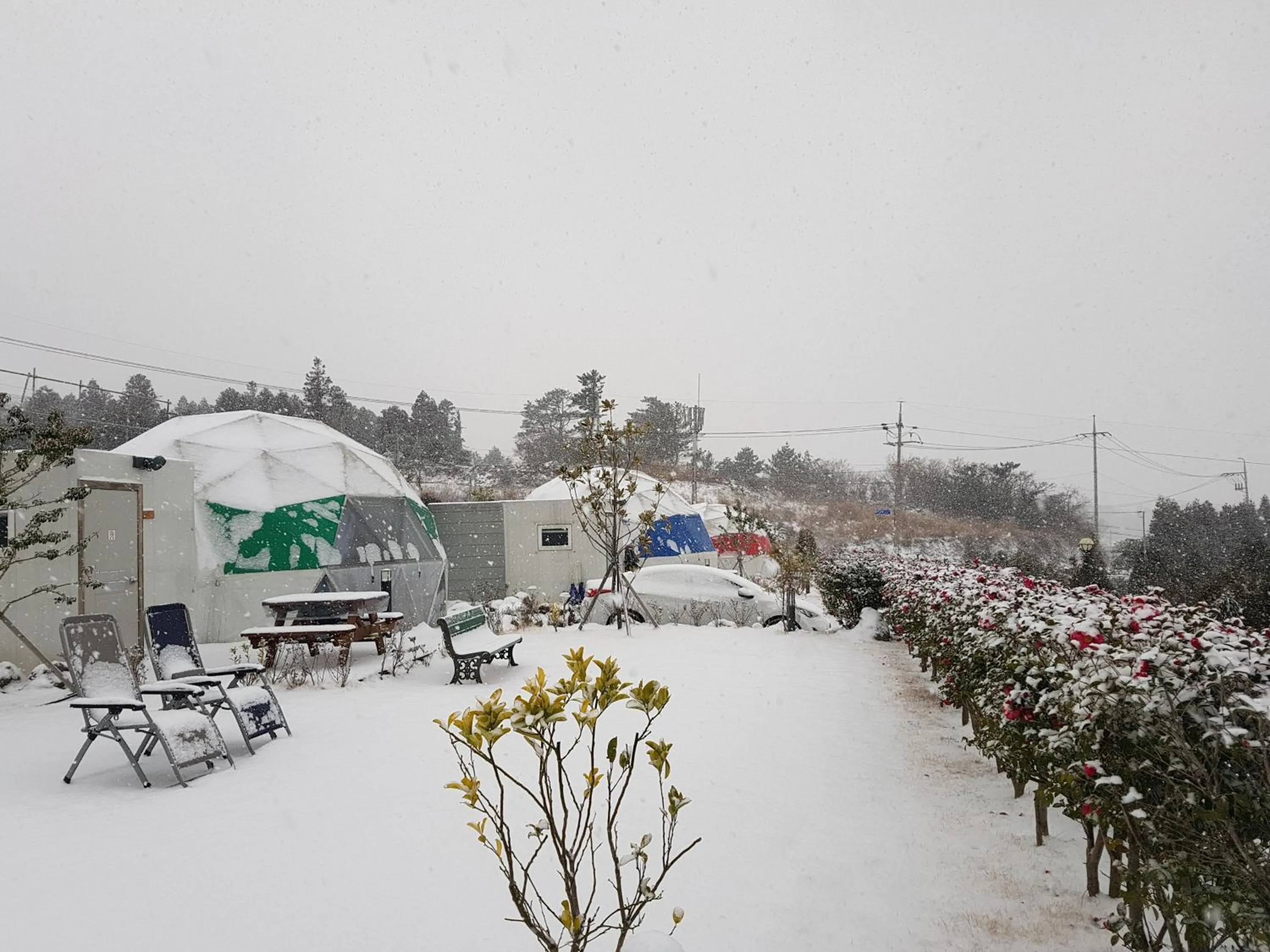 Winter in Jeju Starlight Glamping