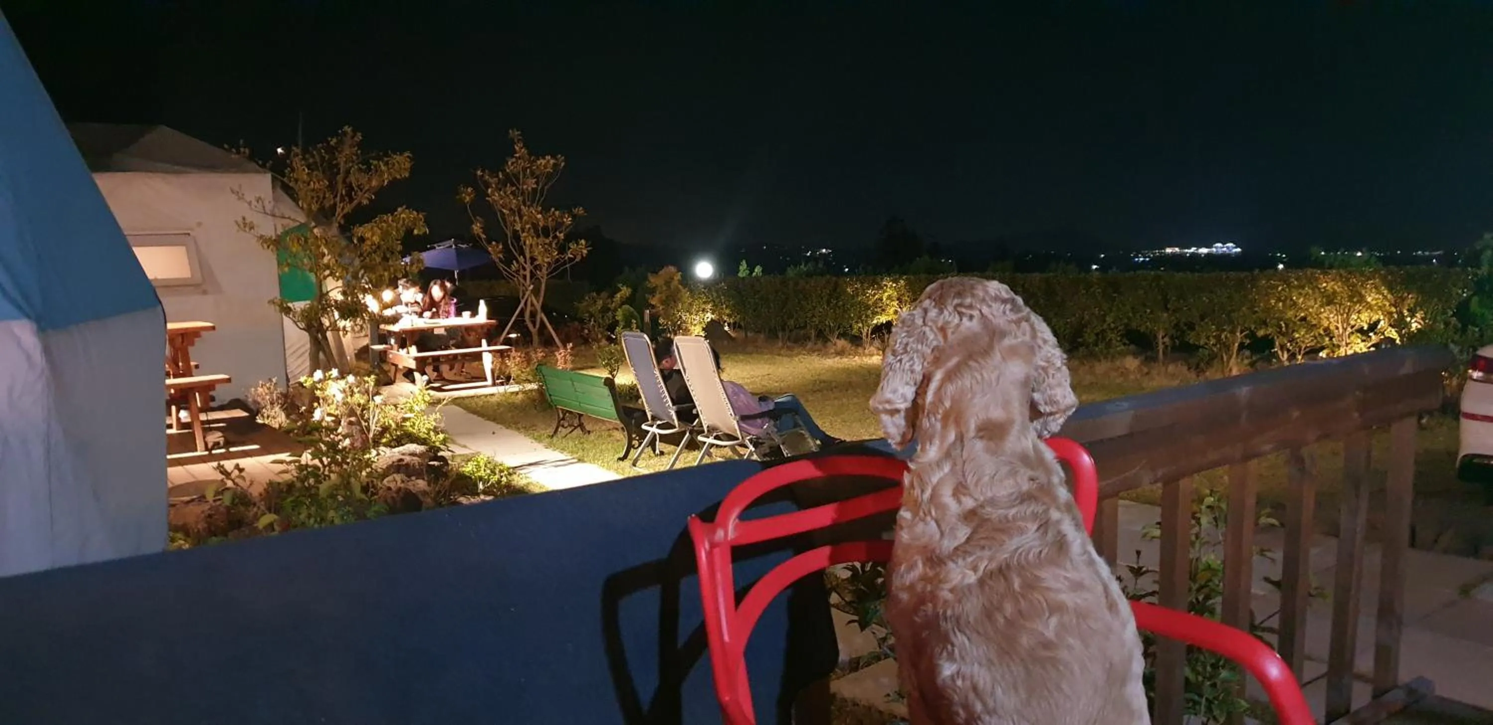 Balcony/Terrace in Jeju Starlight Glamping