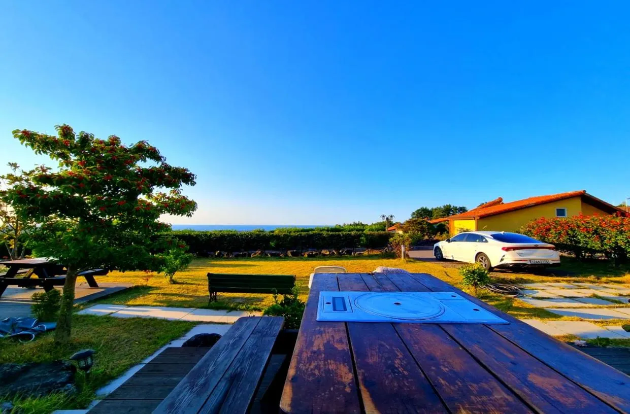 Jeju Starlight Glamping