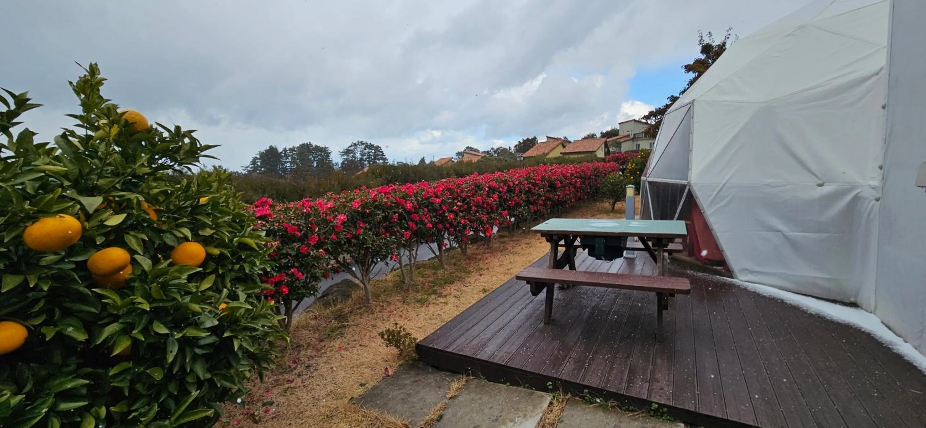 Jeju Starlight Glamping