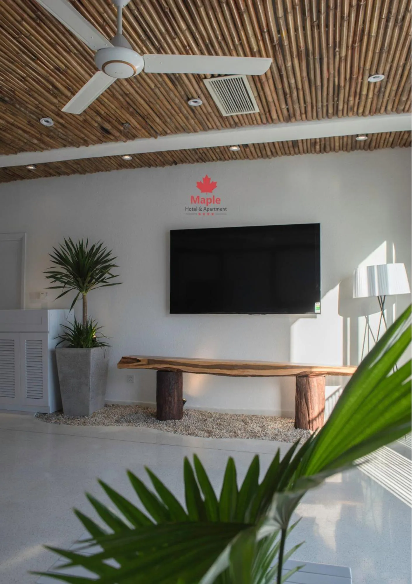 TV and multimedia in Maple Hotel & Apartment