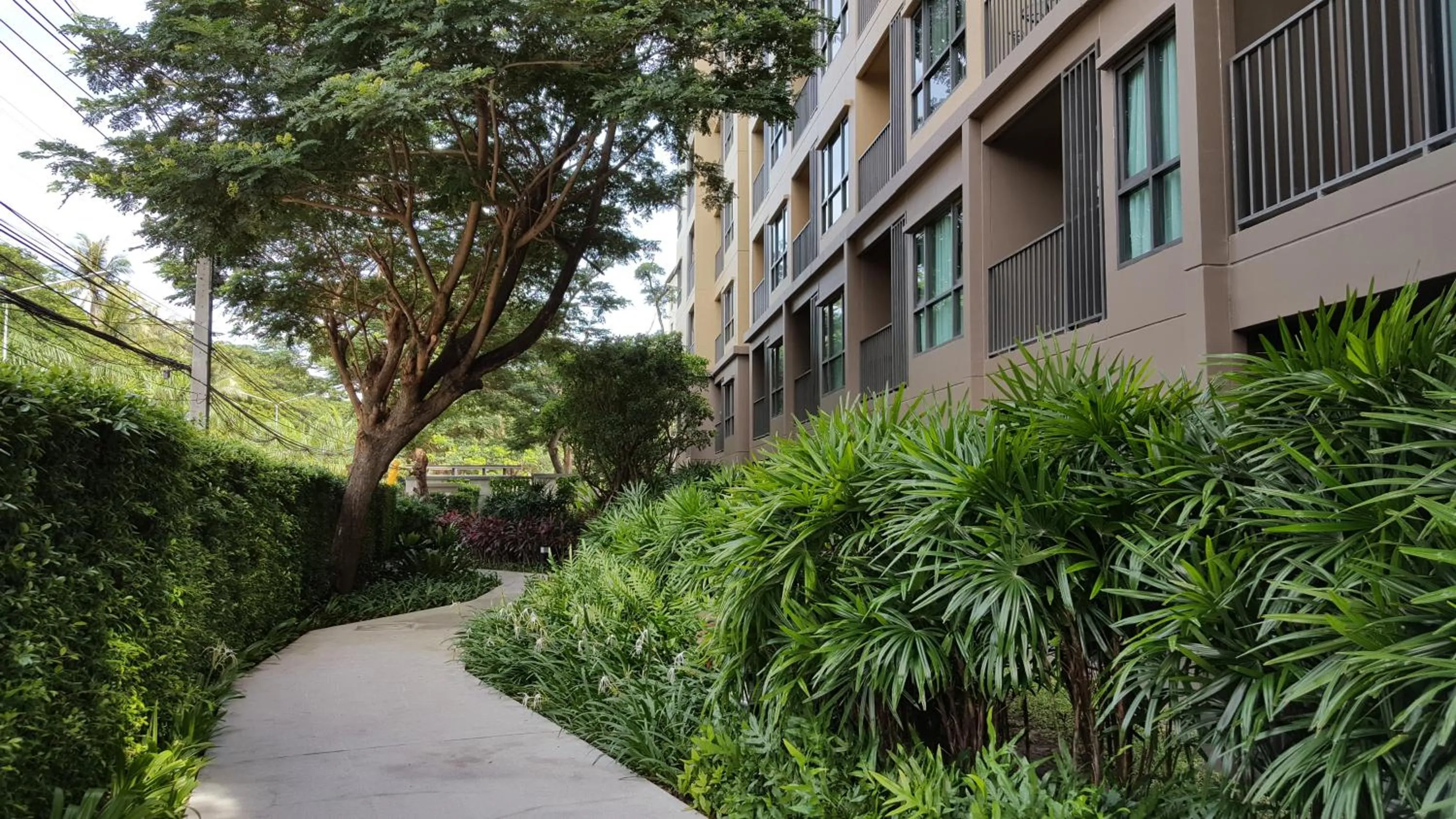 Garden in Rain Cha-am by Obbset