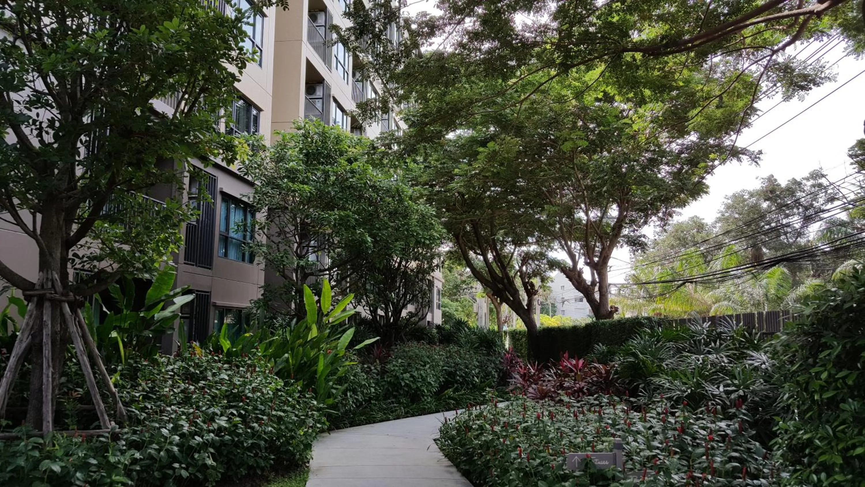 Garden view in Rain Cha-am by Obbset