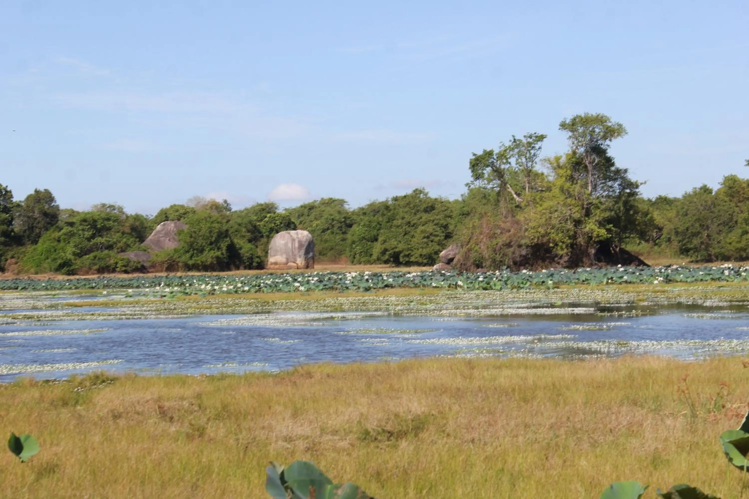 Nearby landmark in Serenity Sigiri Resort