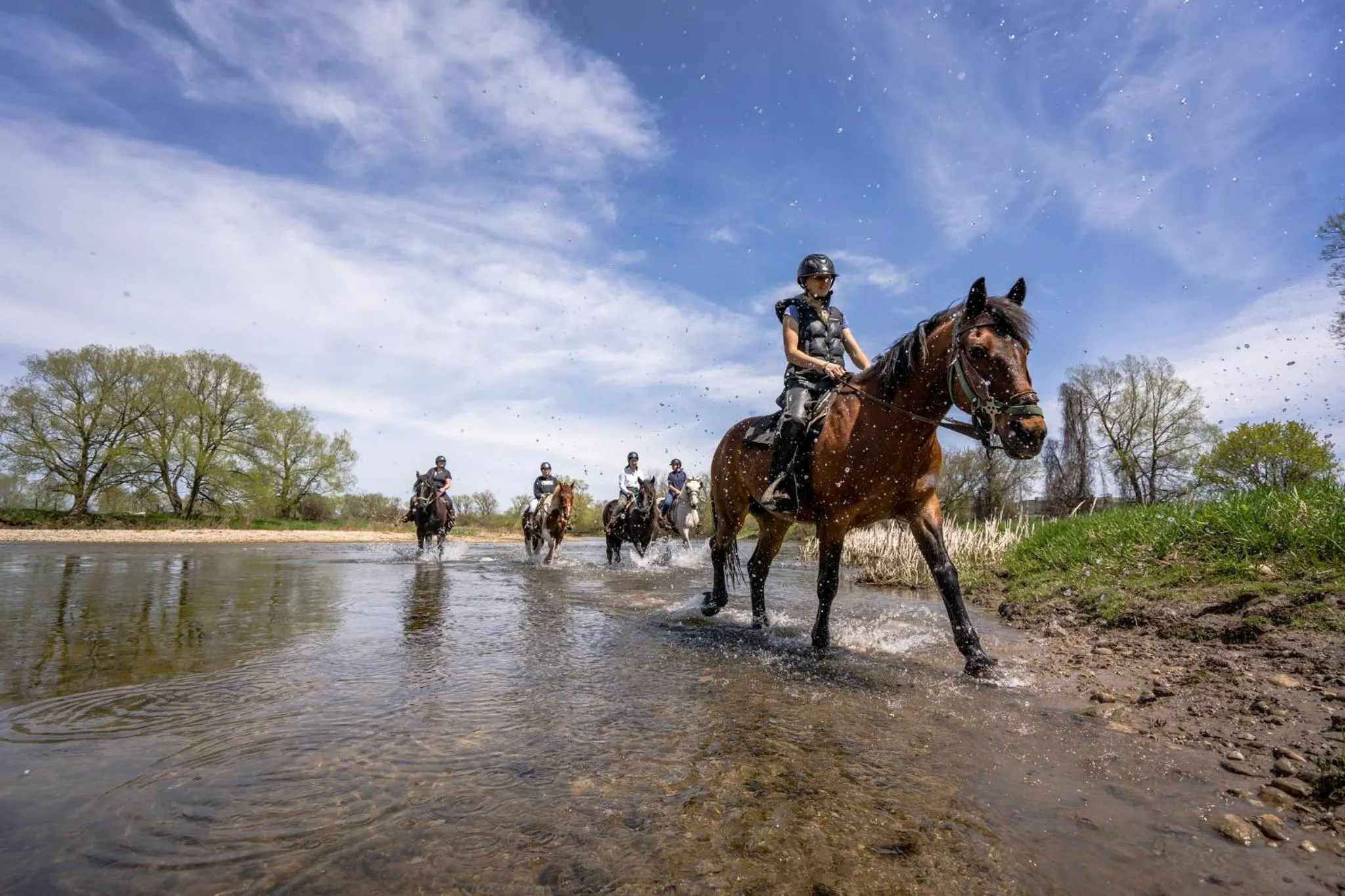 Nearby landmark in Holiday Inn Express & Suites Kitchener Southeast by IHG