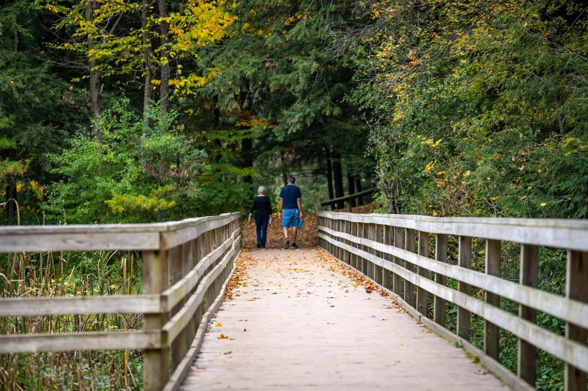 Nearby landmark in Holiday Inn Express & Suites Kitchener Southeast by IHG