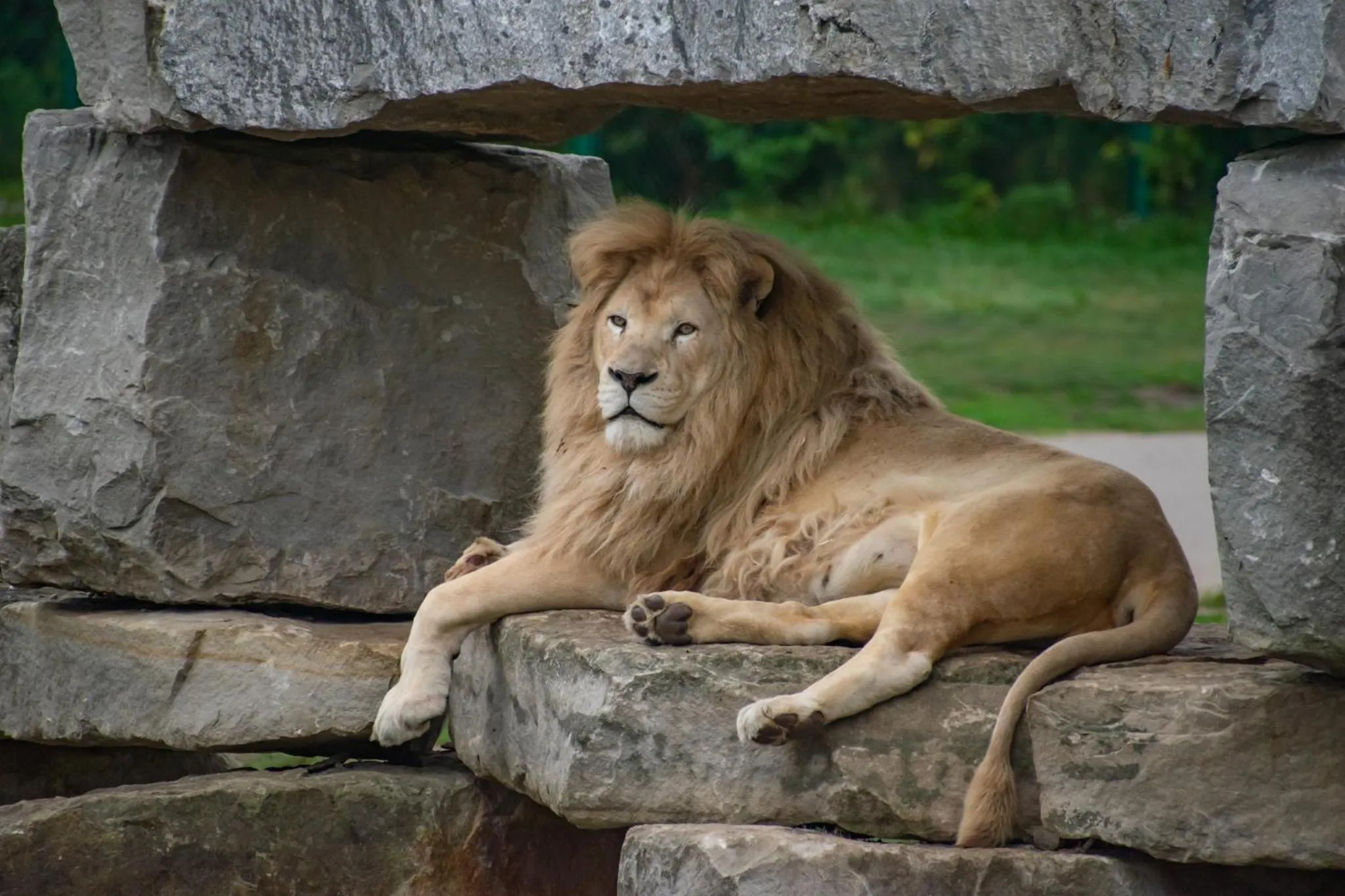 Nearby landmark in Holiday Inn Express & Suites Kitchener Southeast by IHG