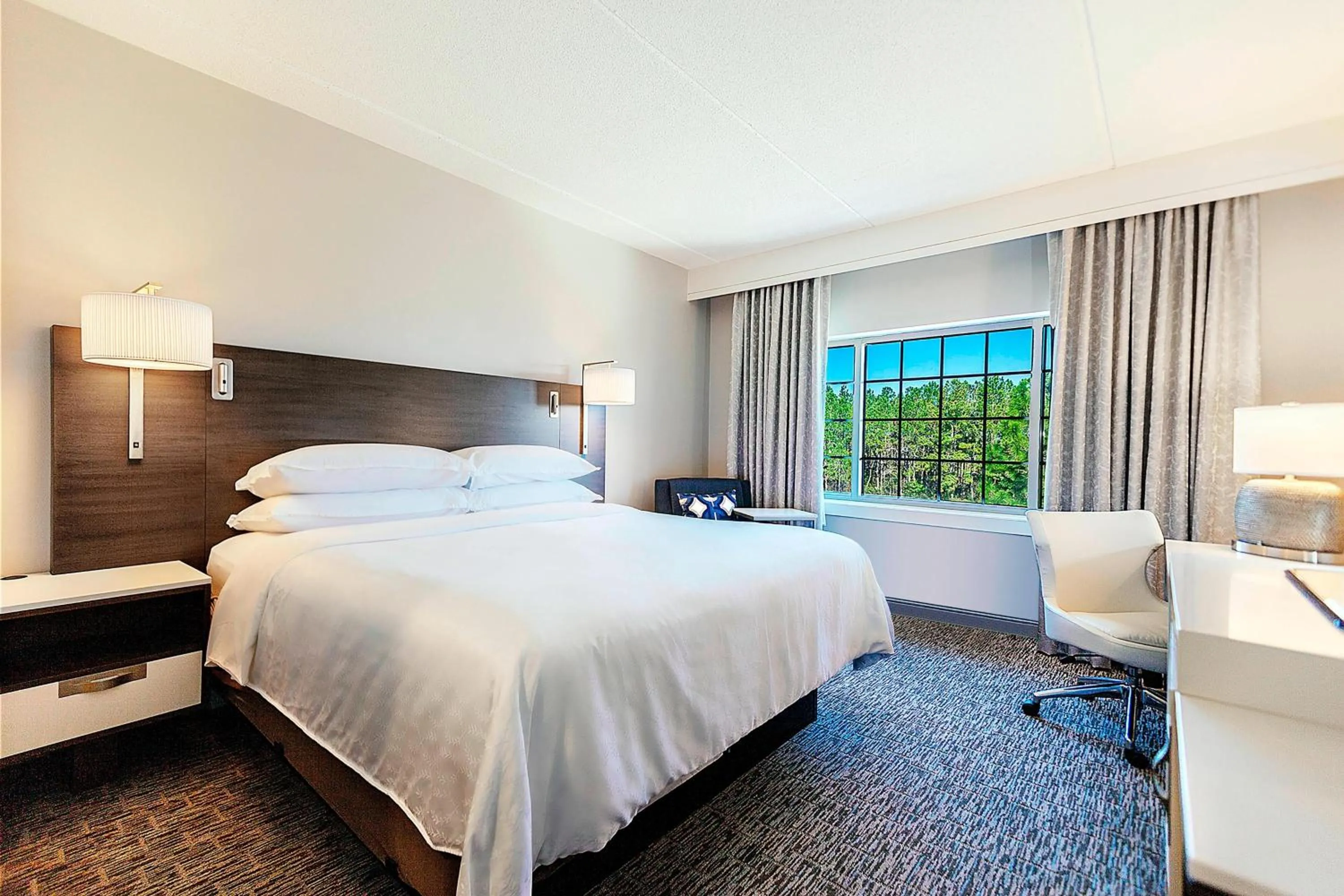 Photo of the whole room, Bed in Sheraton Jacksonville Hotel