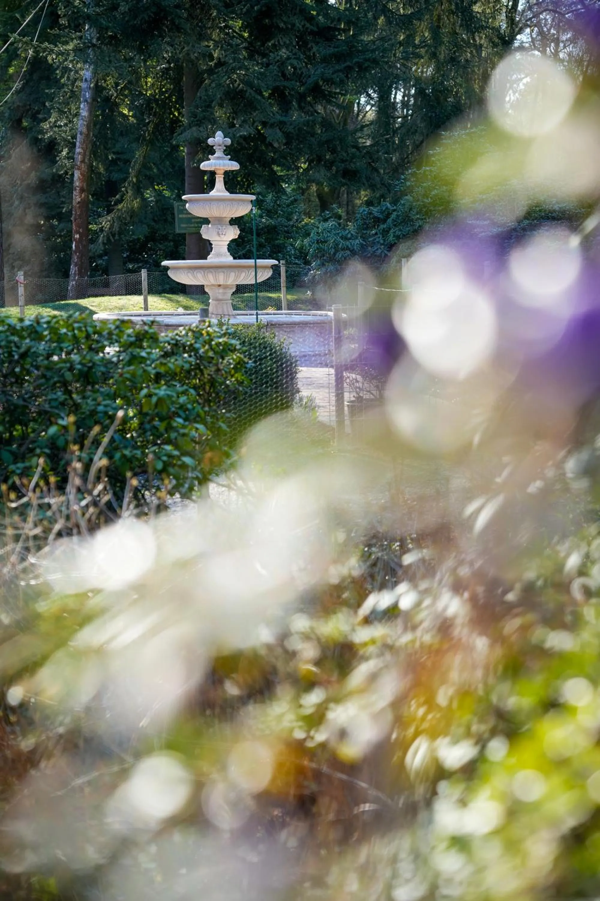 Garden in Heidehotel Waldhütte
