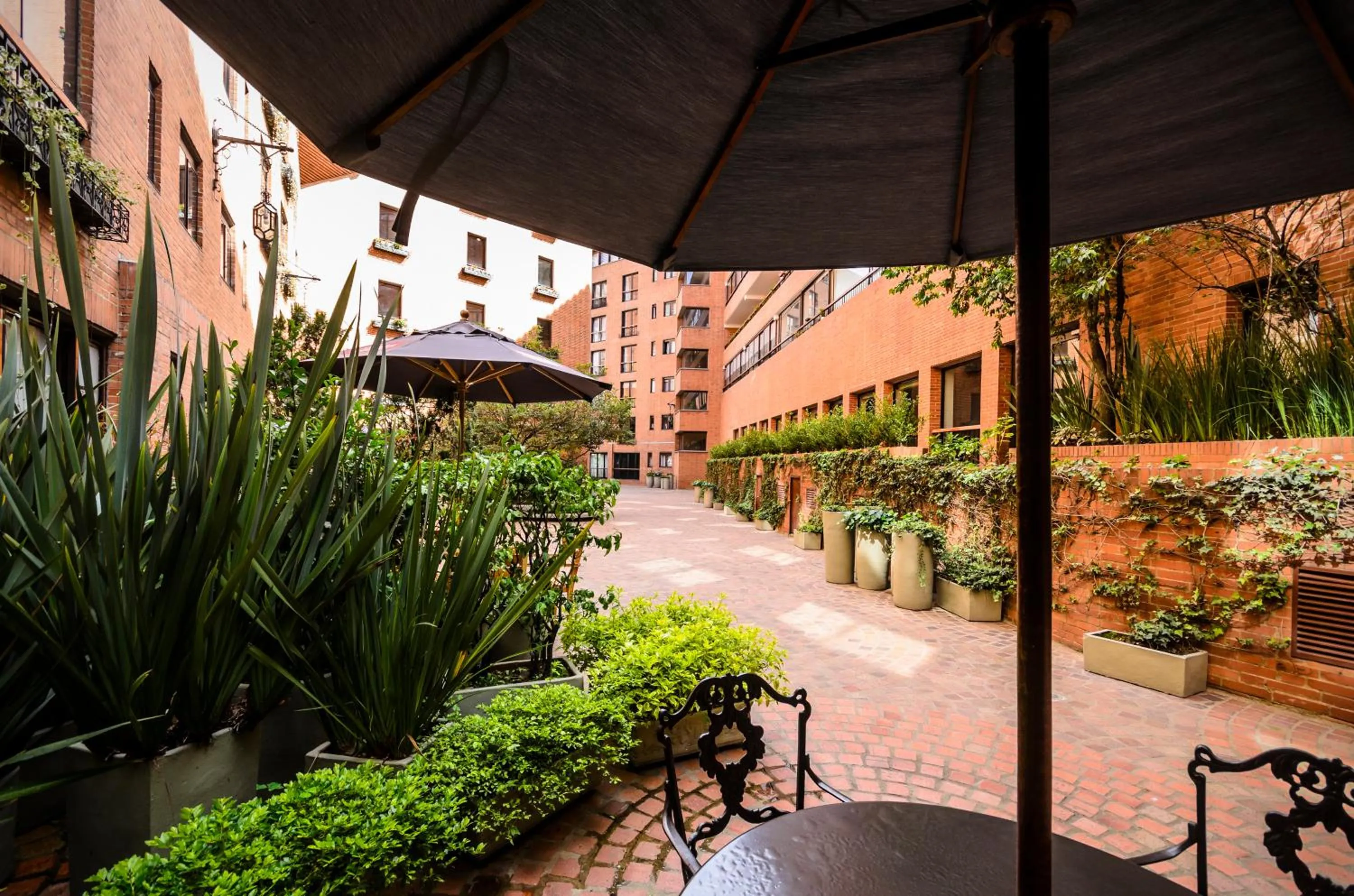 Garden view in Travelers Condominio Plenitud