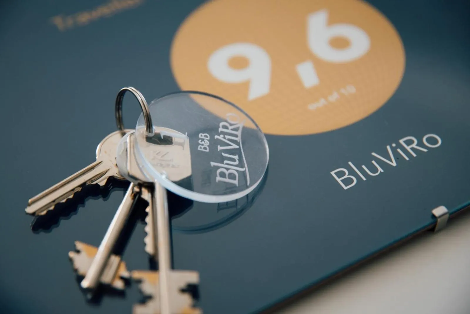 Certificate/Award in BluViRo