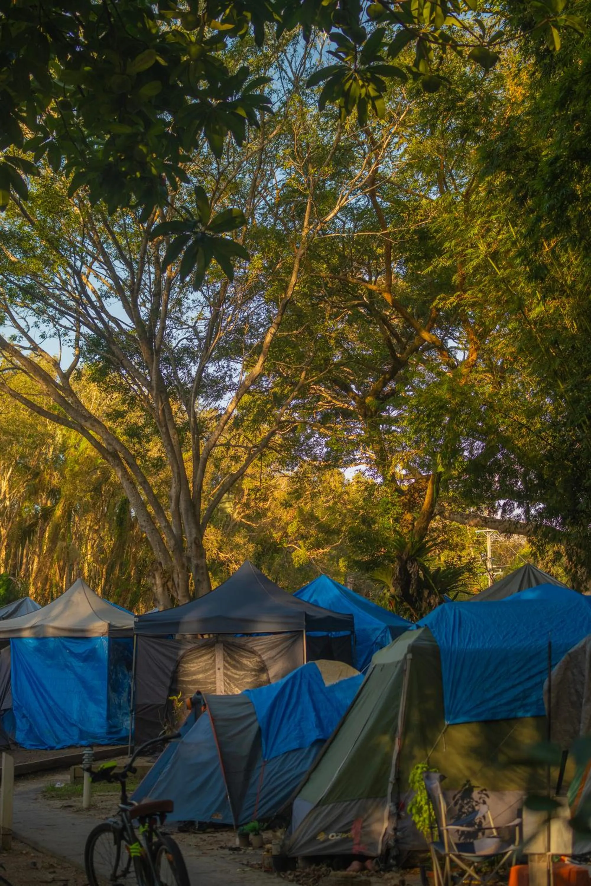 On site in Arts Factory by Nomads