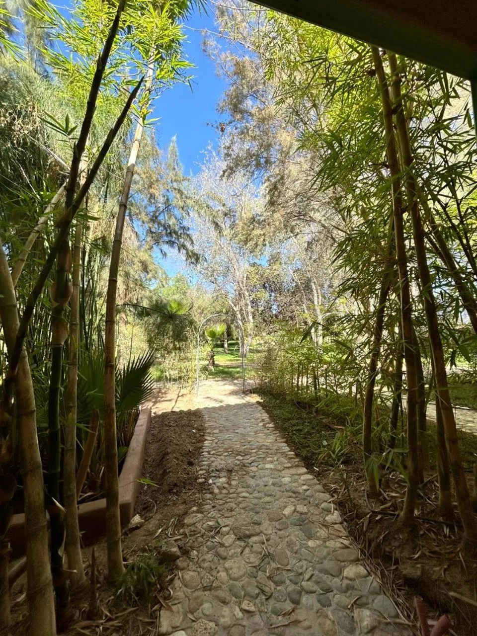 Palais Claudio Bravo