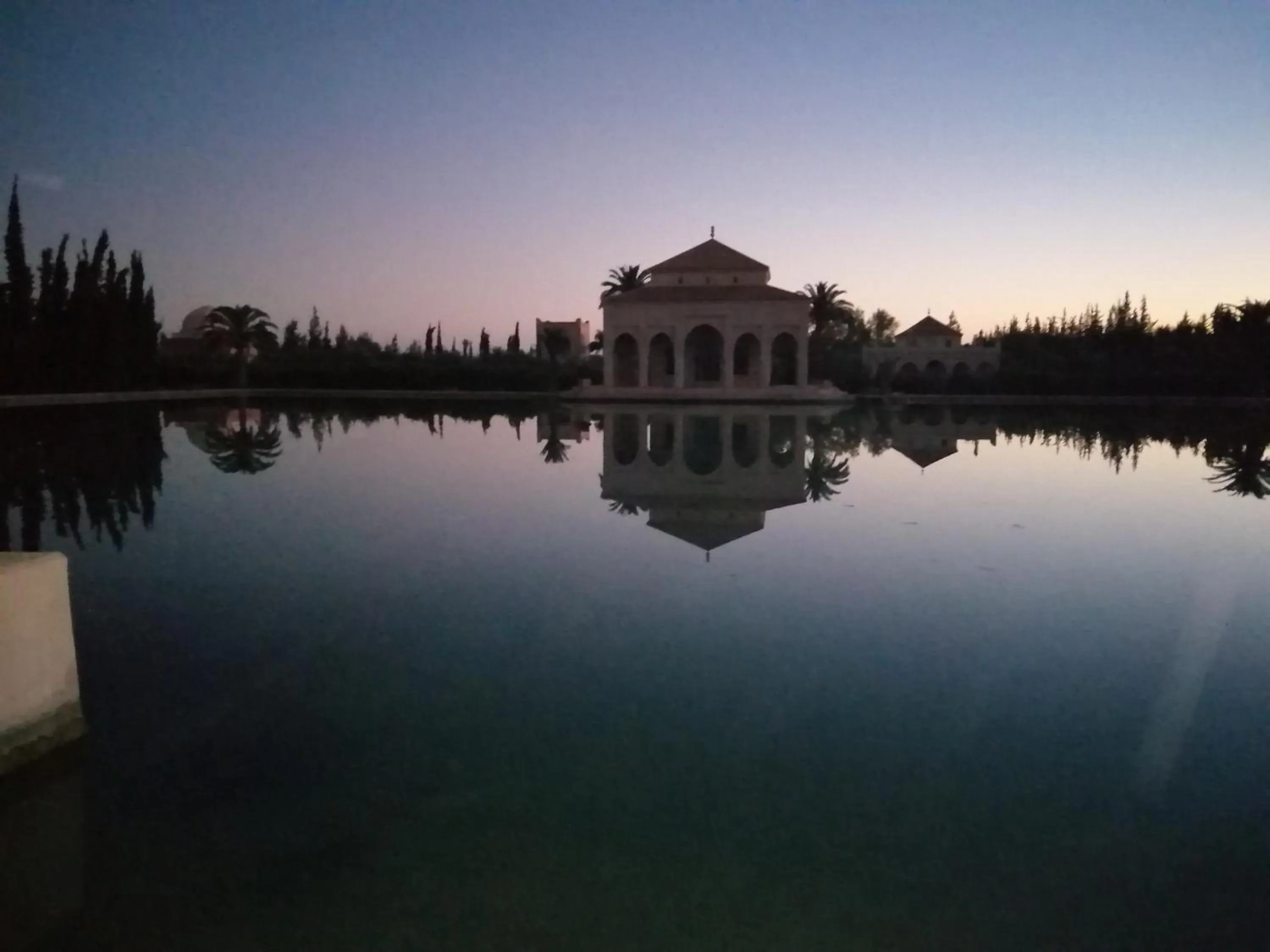 Natural landscape in Palais Claudio Bravo