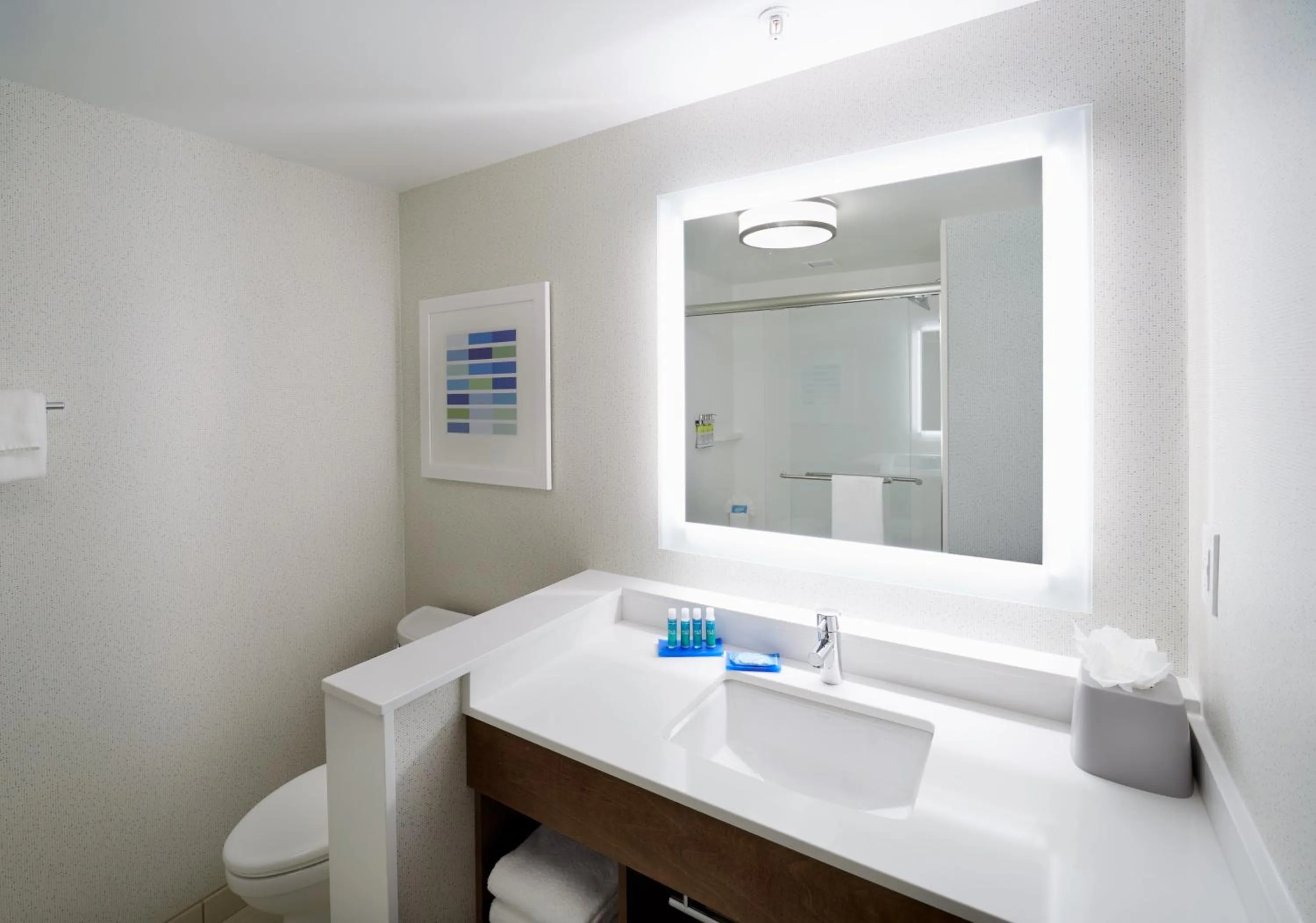 Bathroom in Holiday Inn Express & Suites - Cincinnati North - Liberty Way by IHG