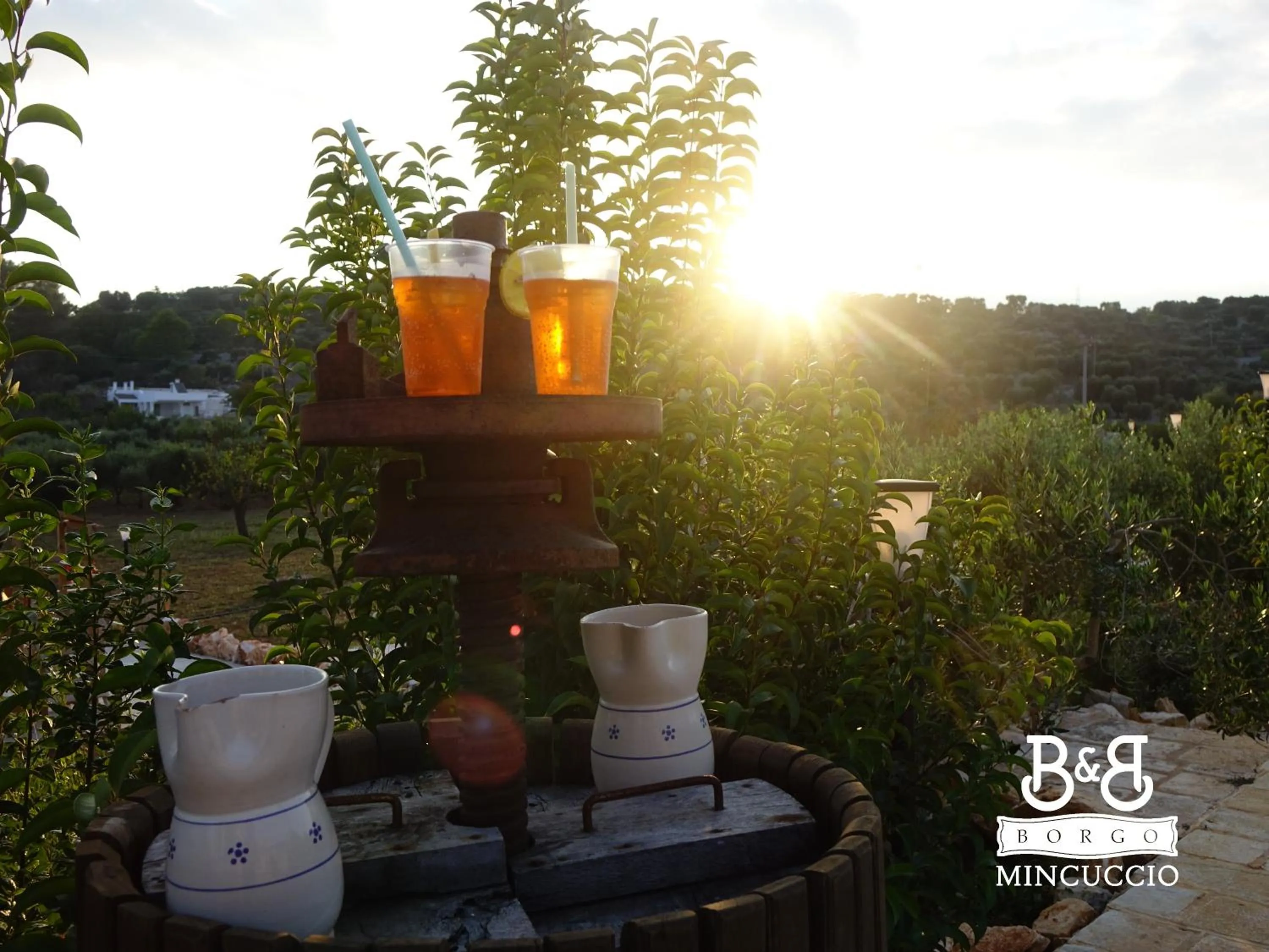 Garden in Borgo Mincuccio