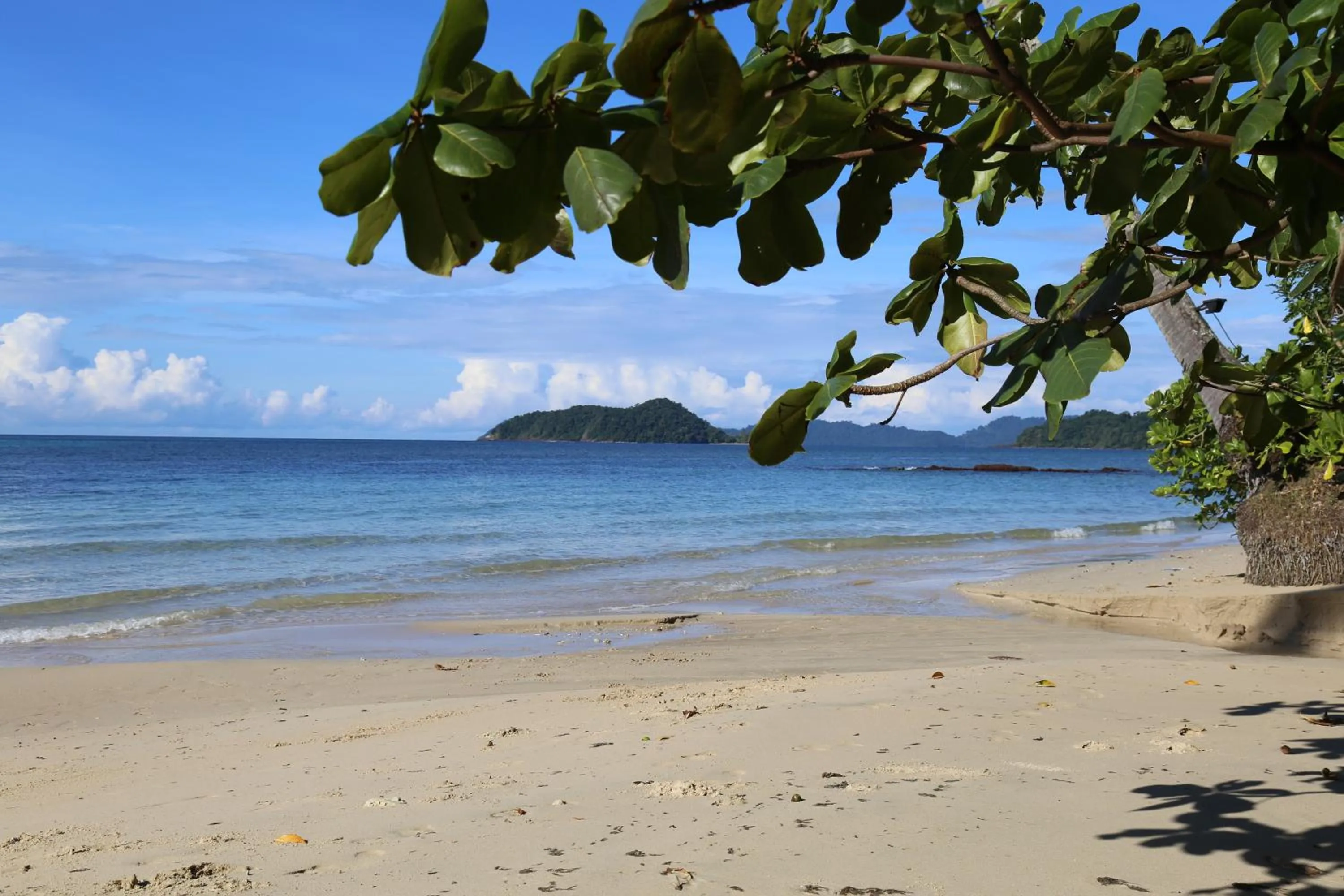 Beach in Koh Mak White Sand Beach