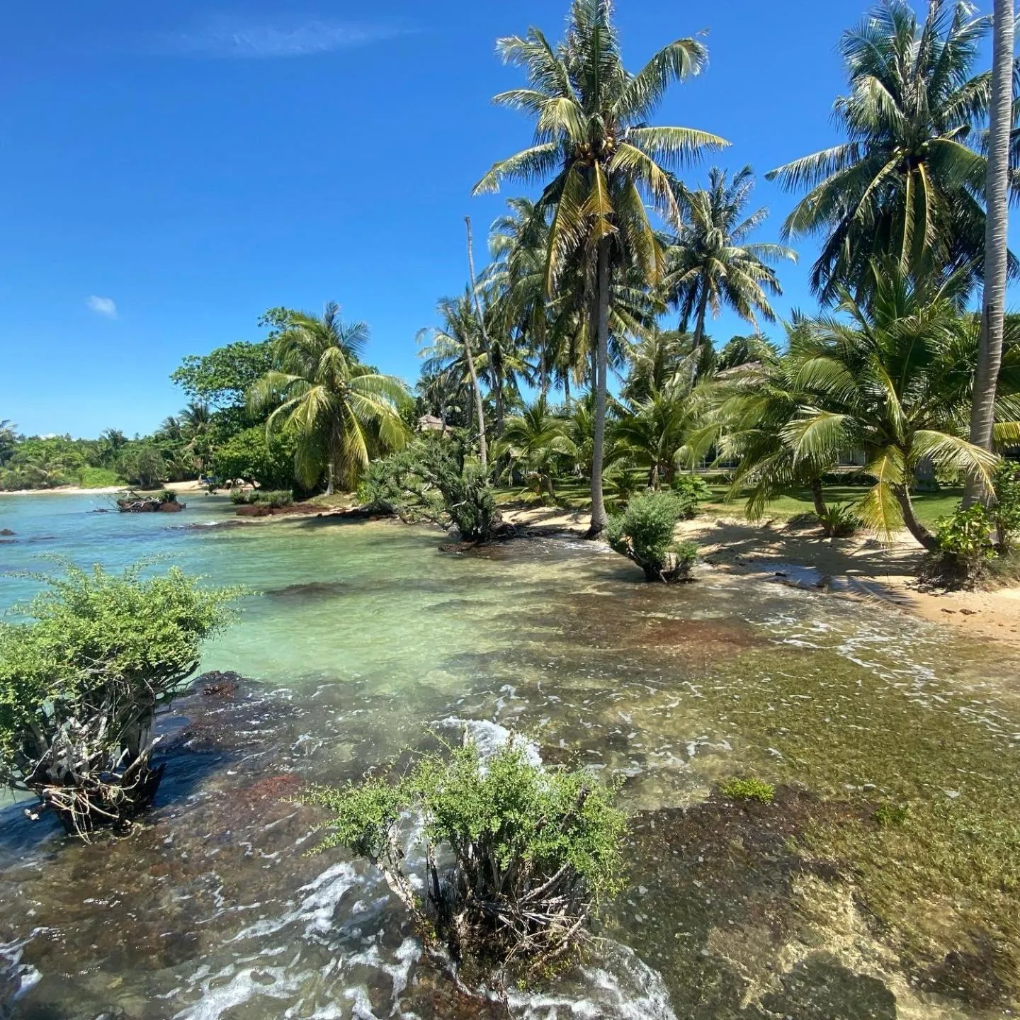 Beach in Koh Mak White Sand Beach