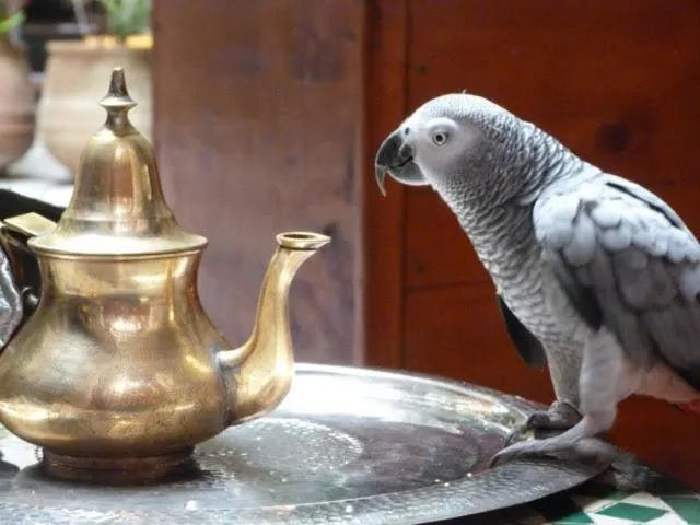 Other in Riad Al Bartal