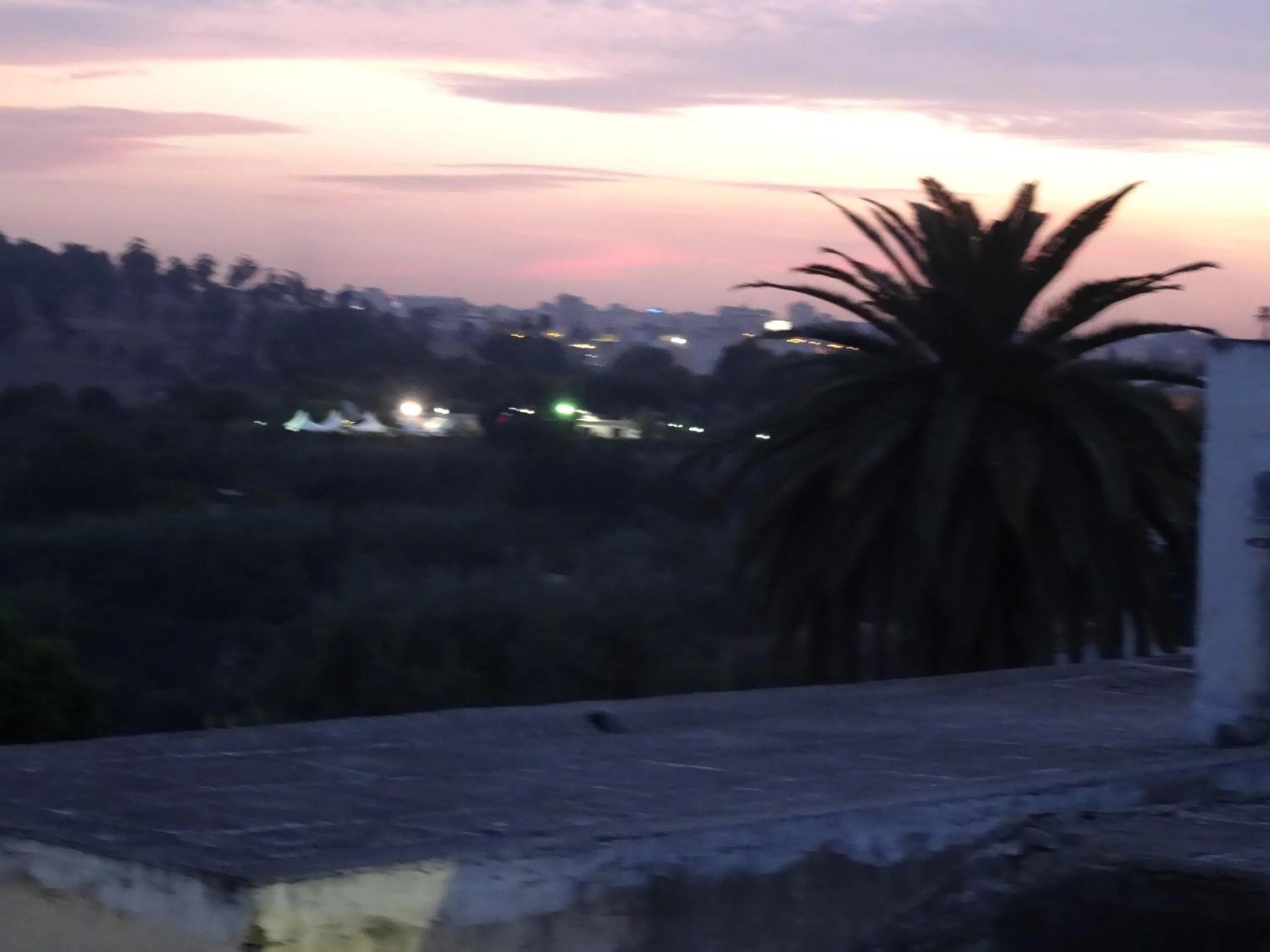 Balcony/Terrace in Riad Al Bartal