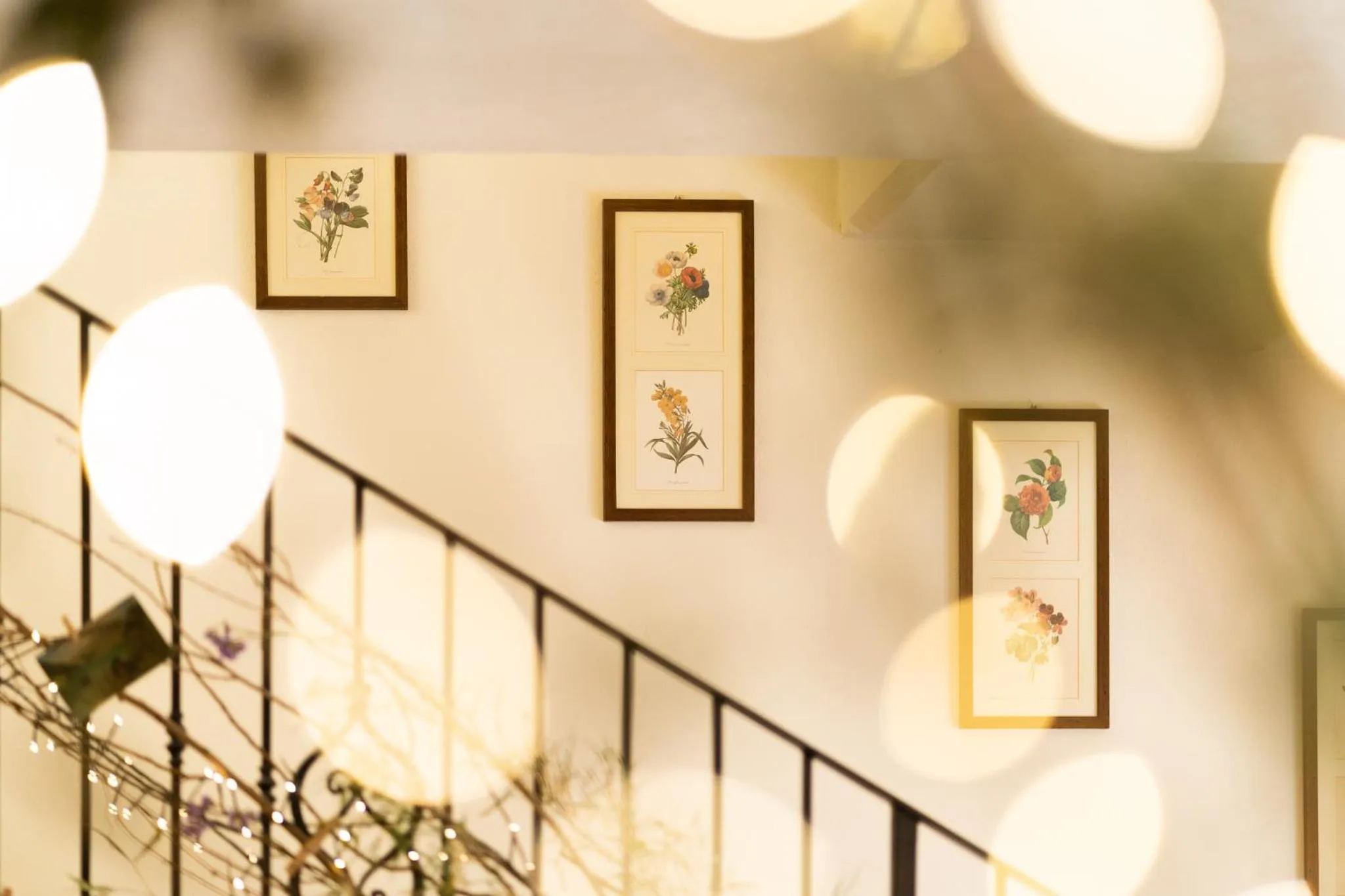 Lobby or reception in Agriturismo Cà Nuova