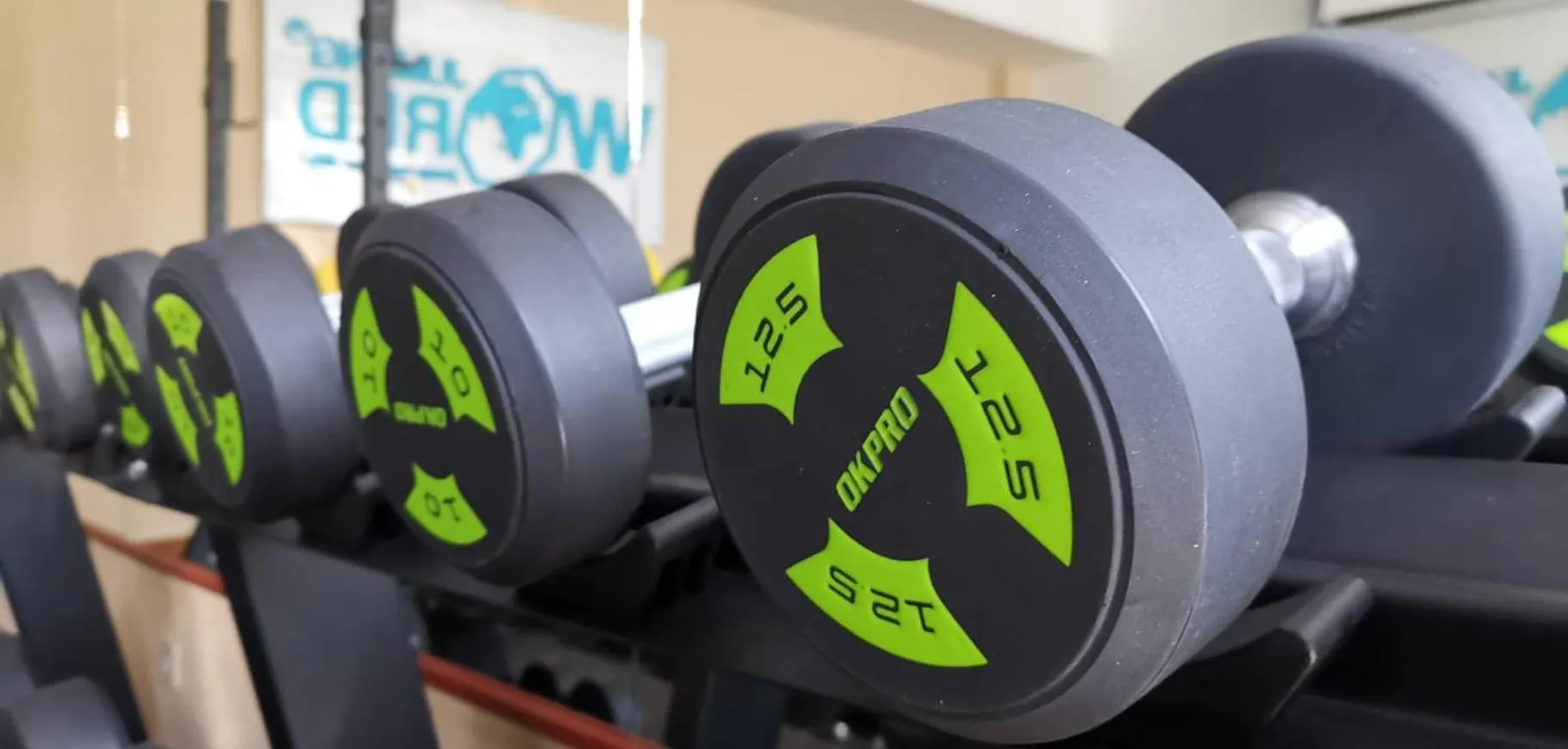 Fitness centre/facilities in Penzion FIT - Contactless check in