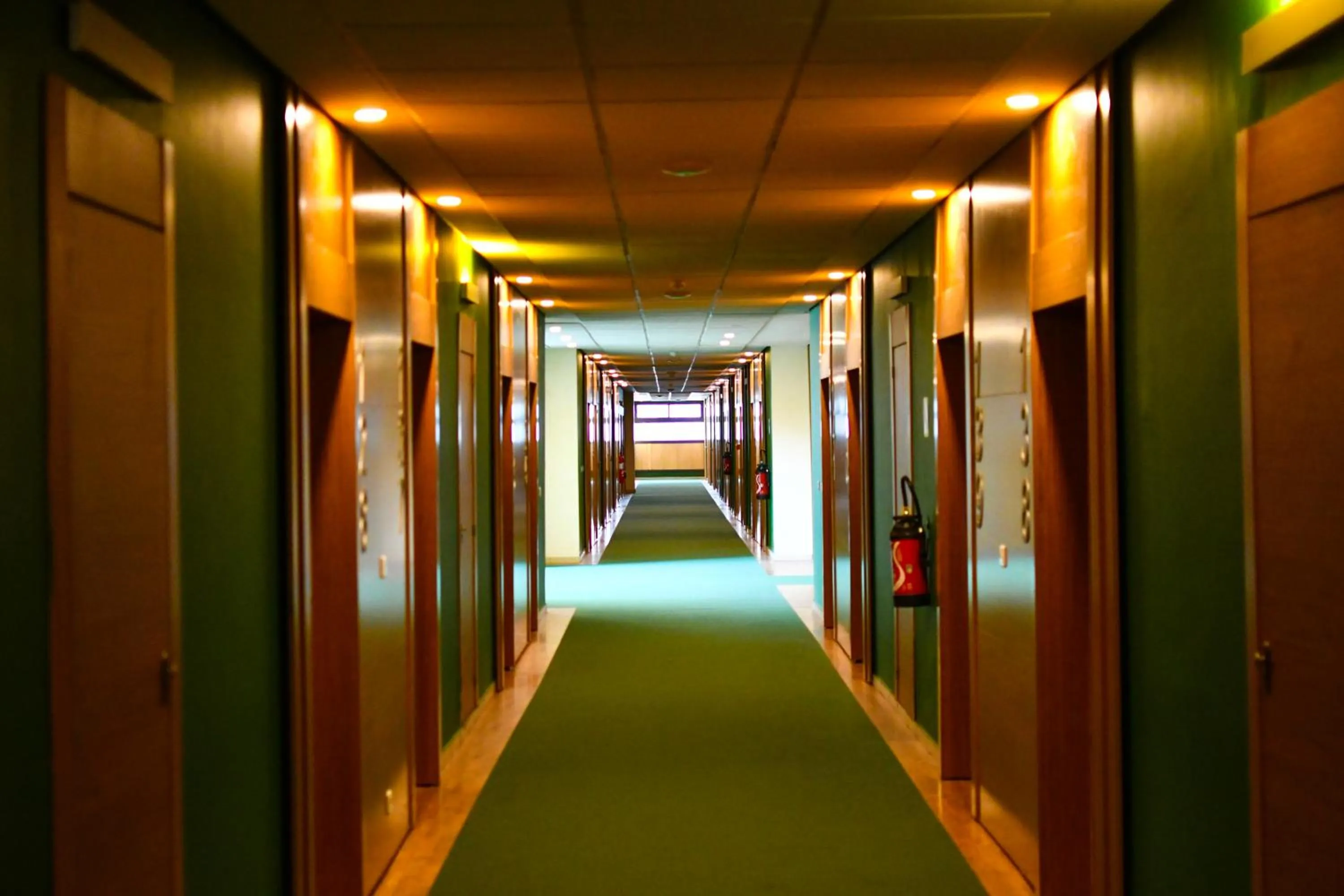 Area and facilities in Palm Club Hotel