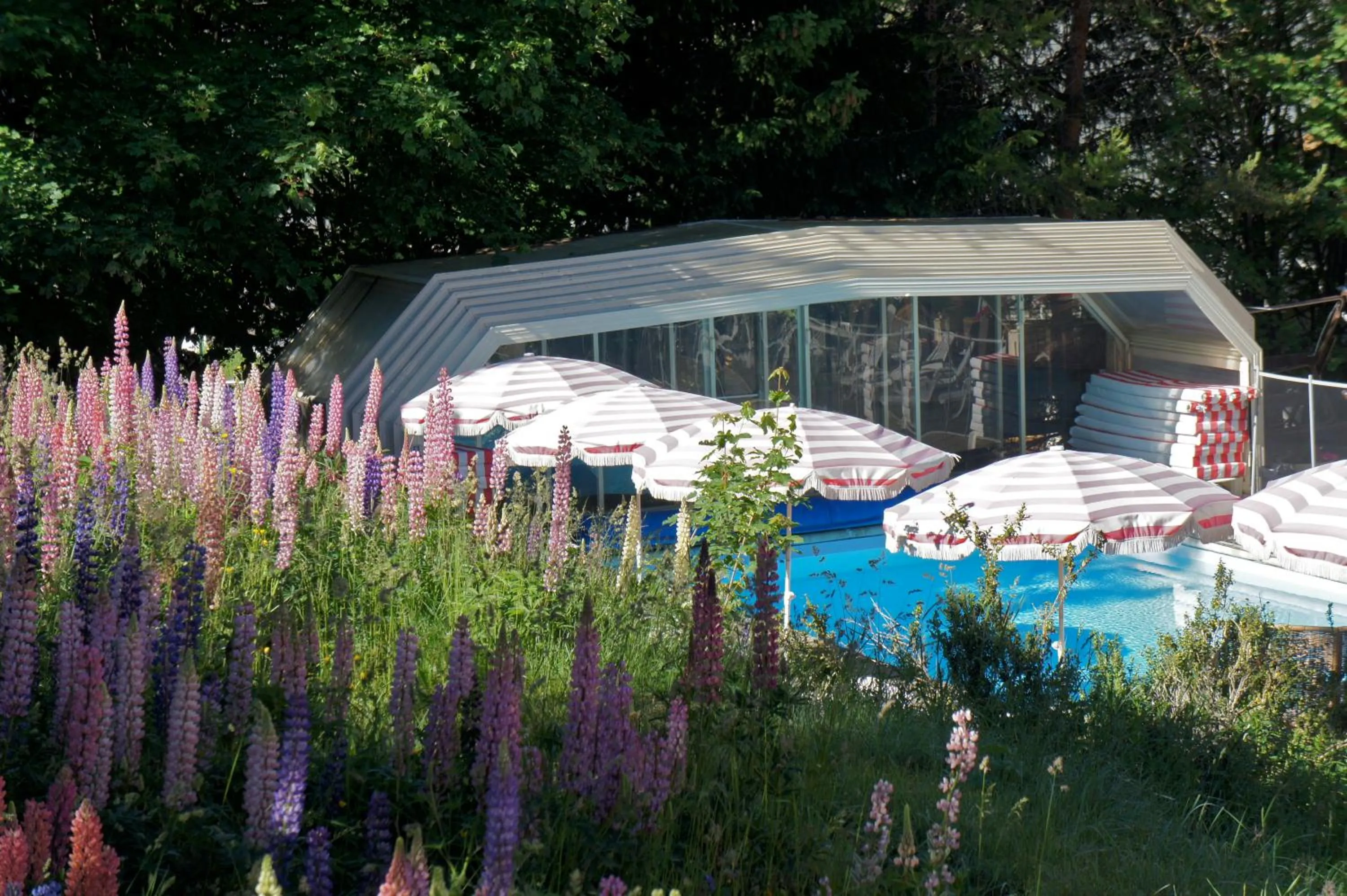 Summer in Hotel Adret