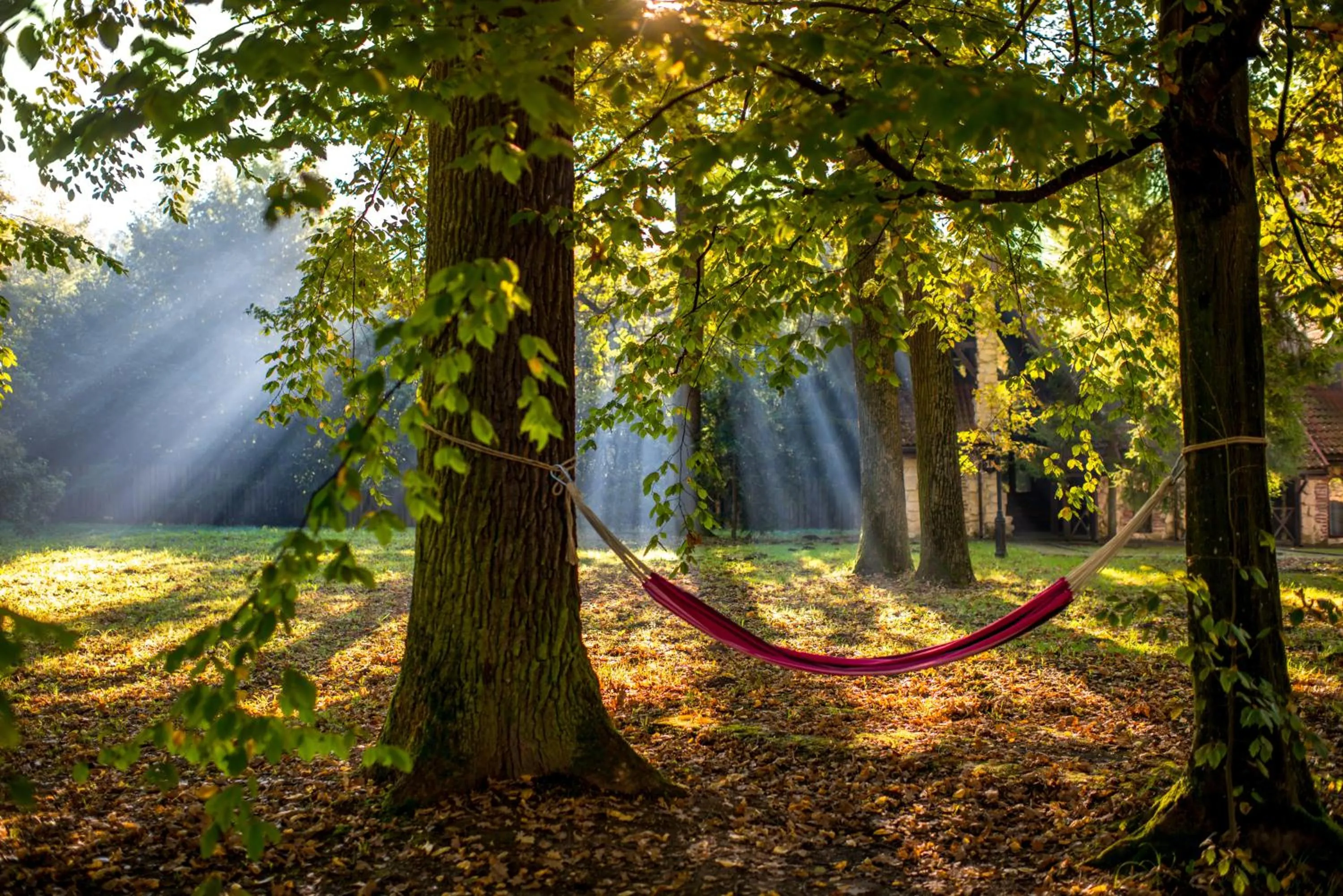 Garden in Drevny Grad Park-hotel