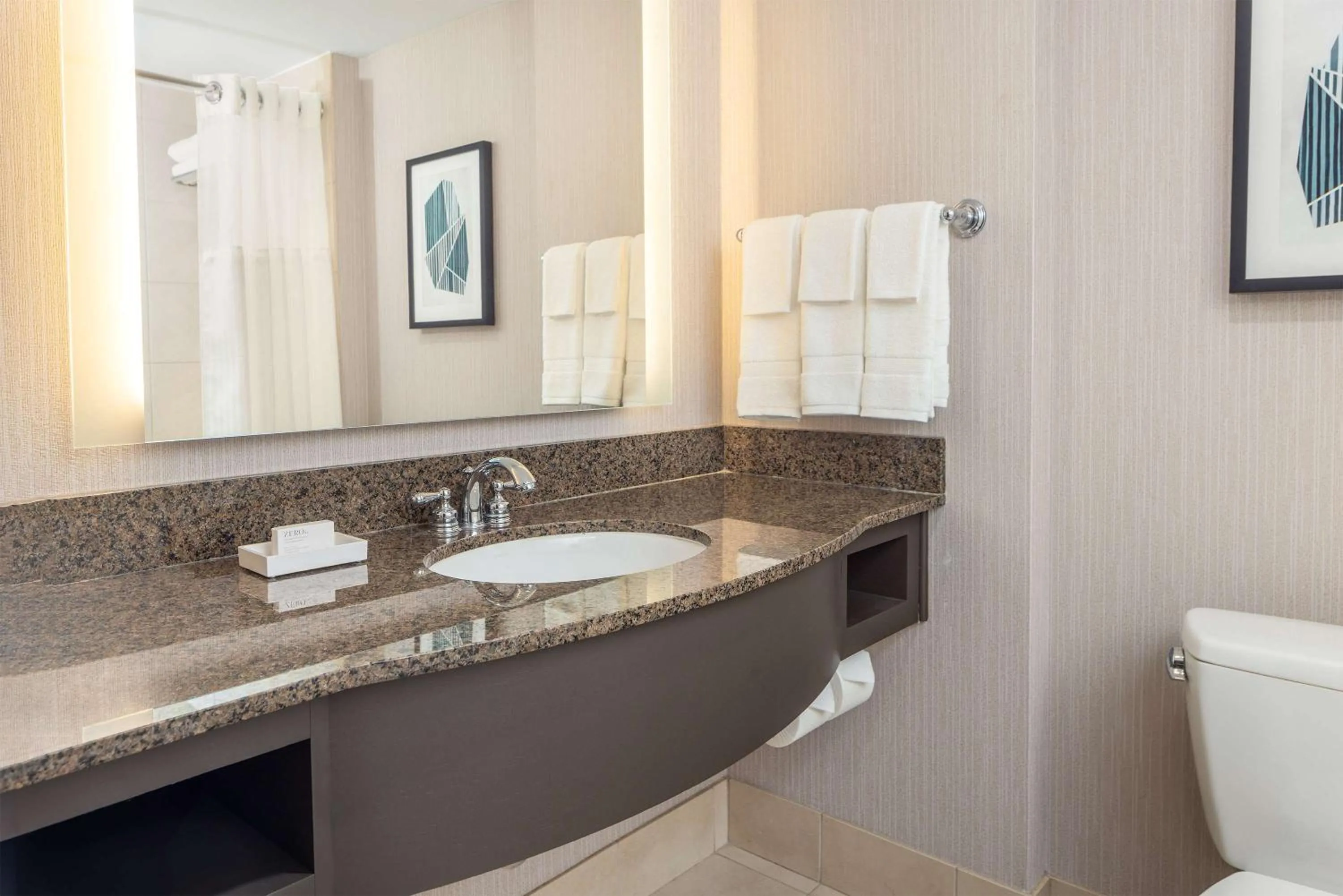 Bathroom in Hilton Garden Inn Bethesda Downtown