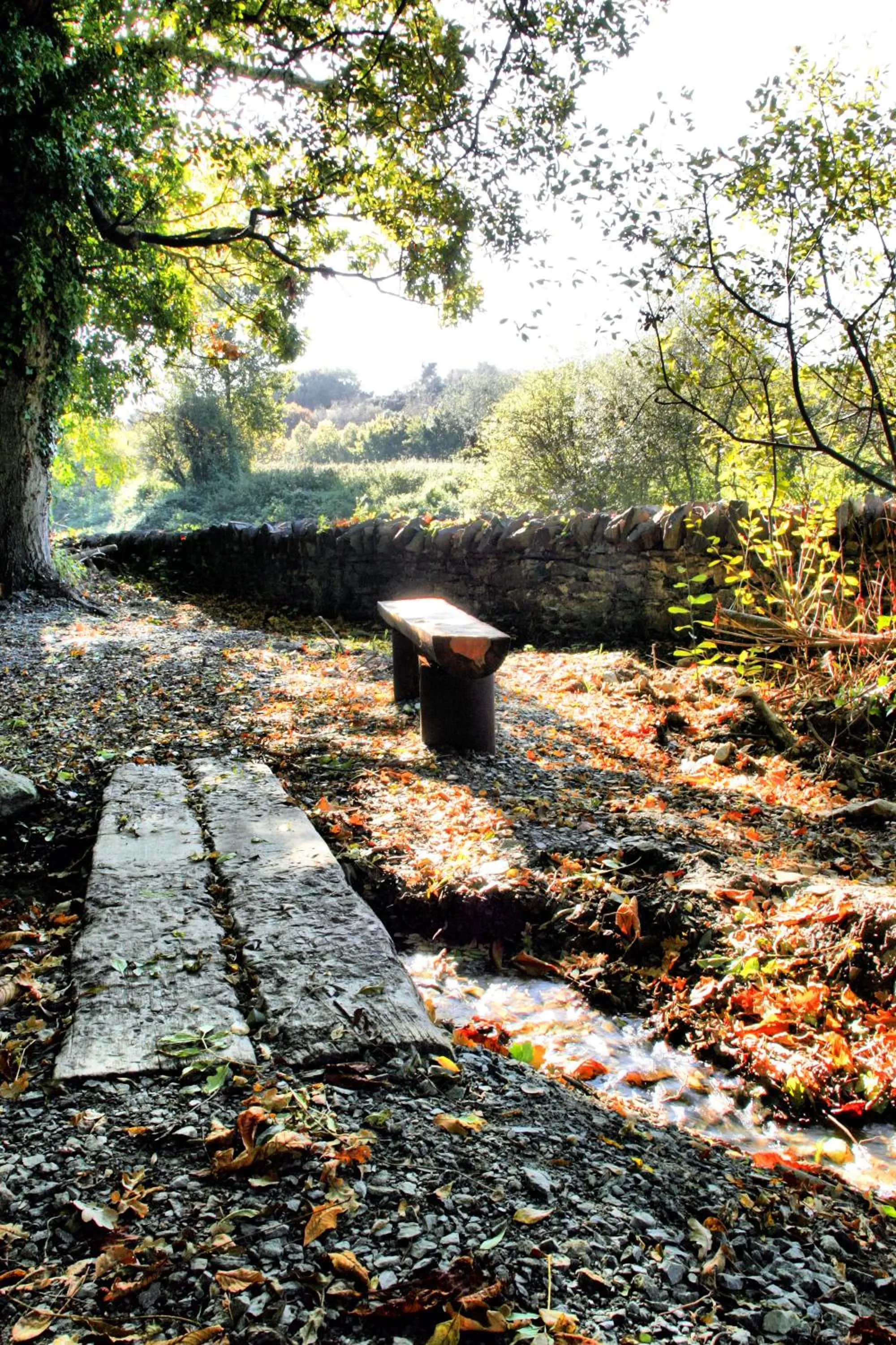 Natural landscape in Brandon House Hotel