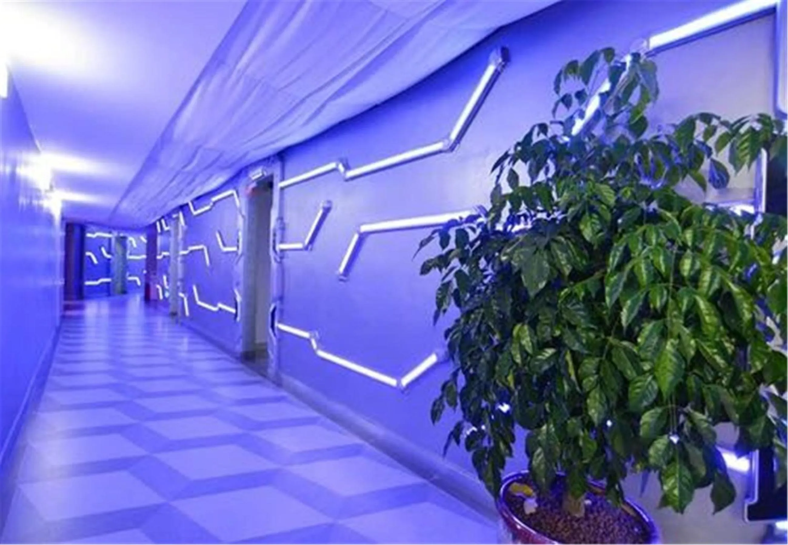 Property building in Zhuhai Dreamers Capsule Hotel