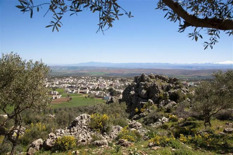 View (from property/room) in Dar KamalChaoui
