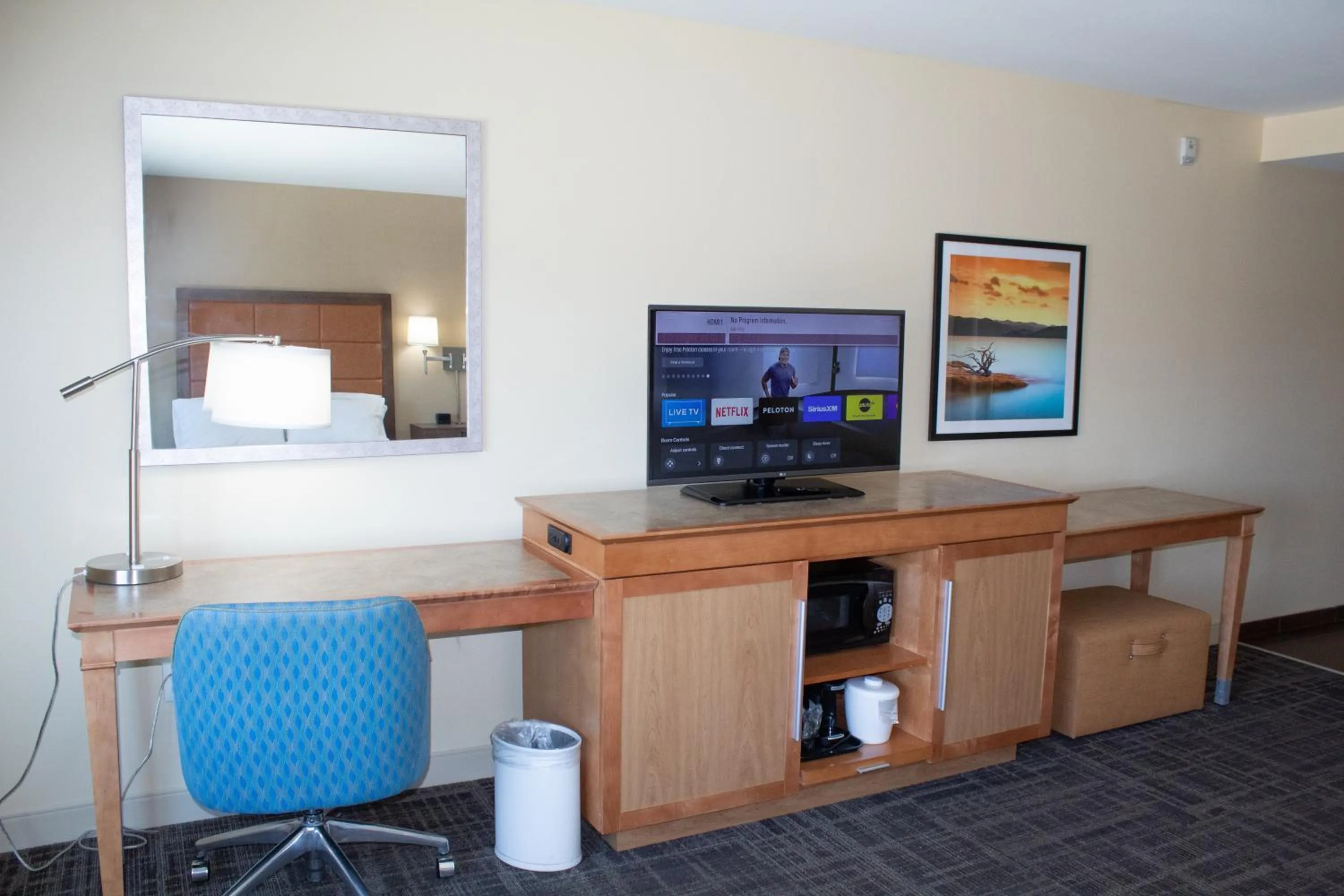 Hampton Inn & Suites Big Rapids, Mi
