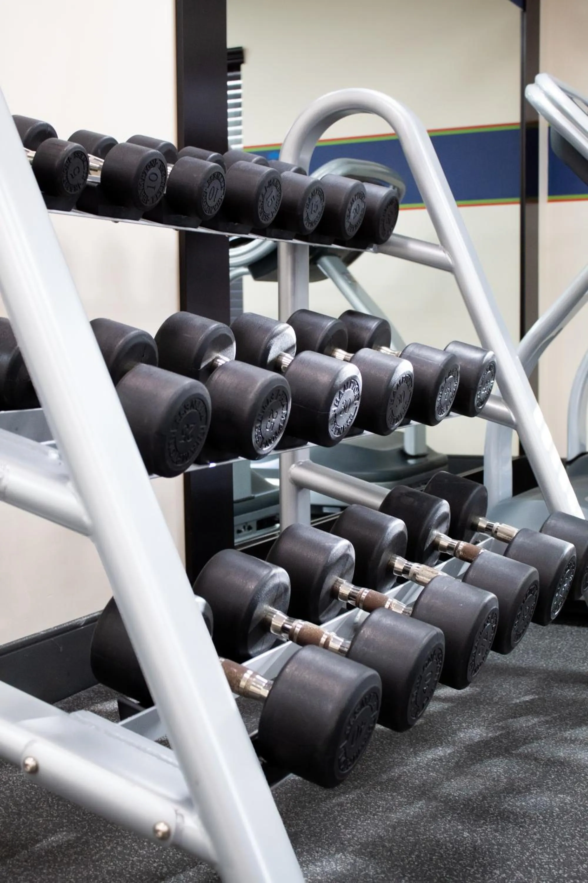 Fitness centre/facilities in Hampton Inn & Suites Big Rapids, Mi