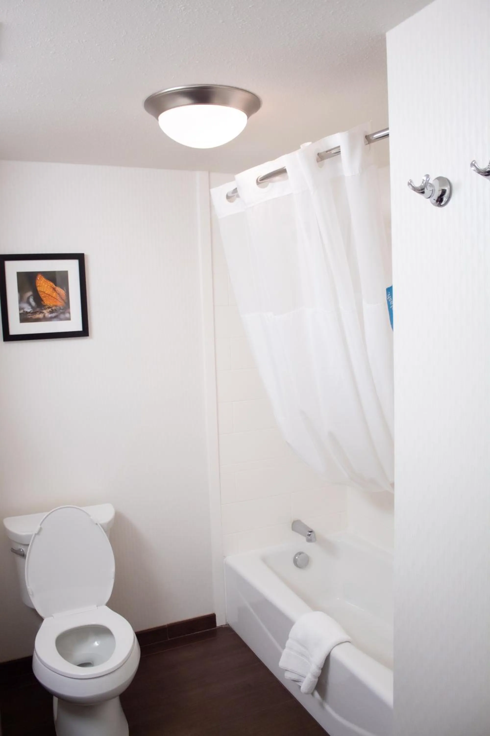 Hampton Inn & Suites Big Rapids, Mi