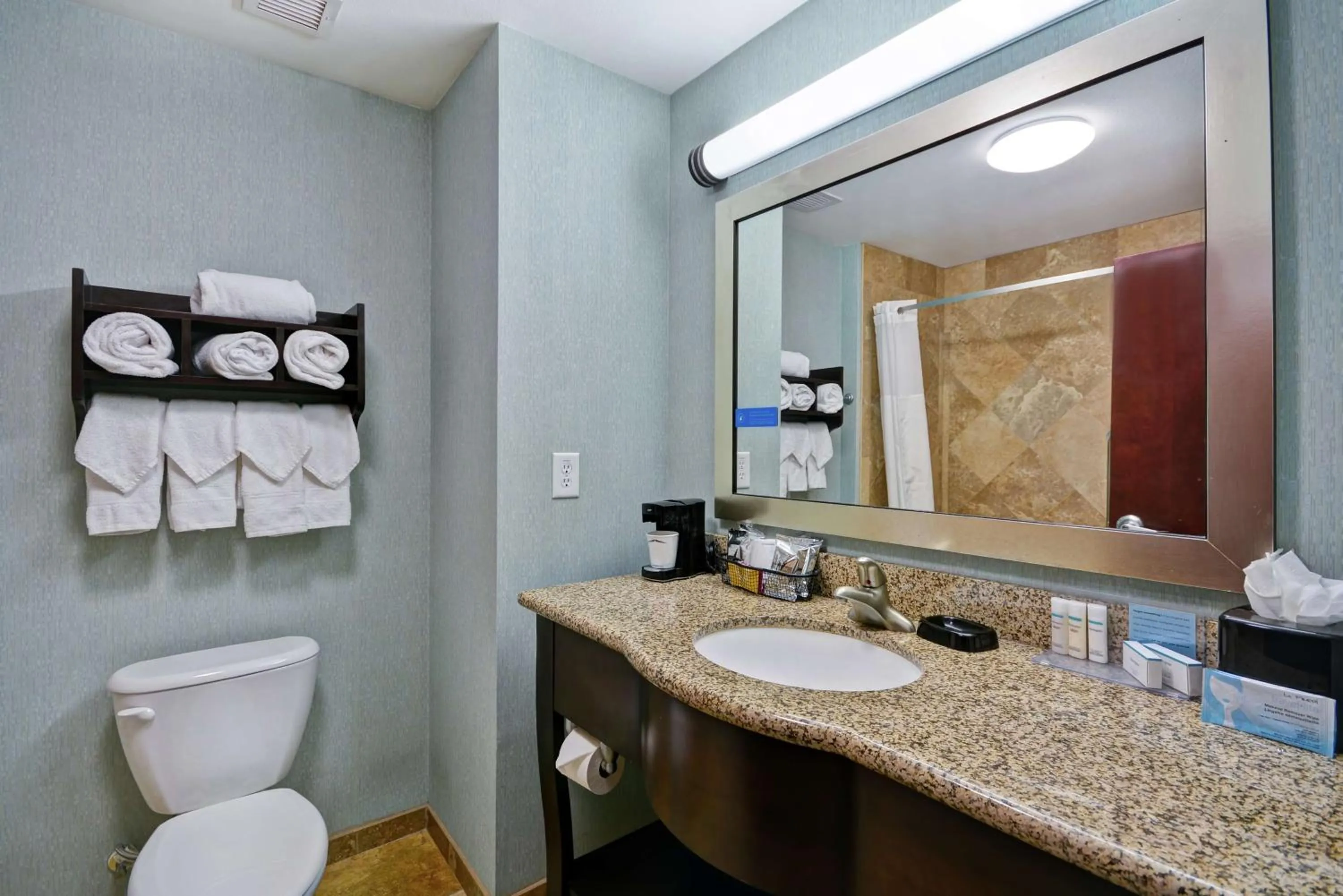 Bathroom in Hampton Inn & Suites San Antonio/Northeast I-35