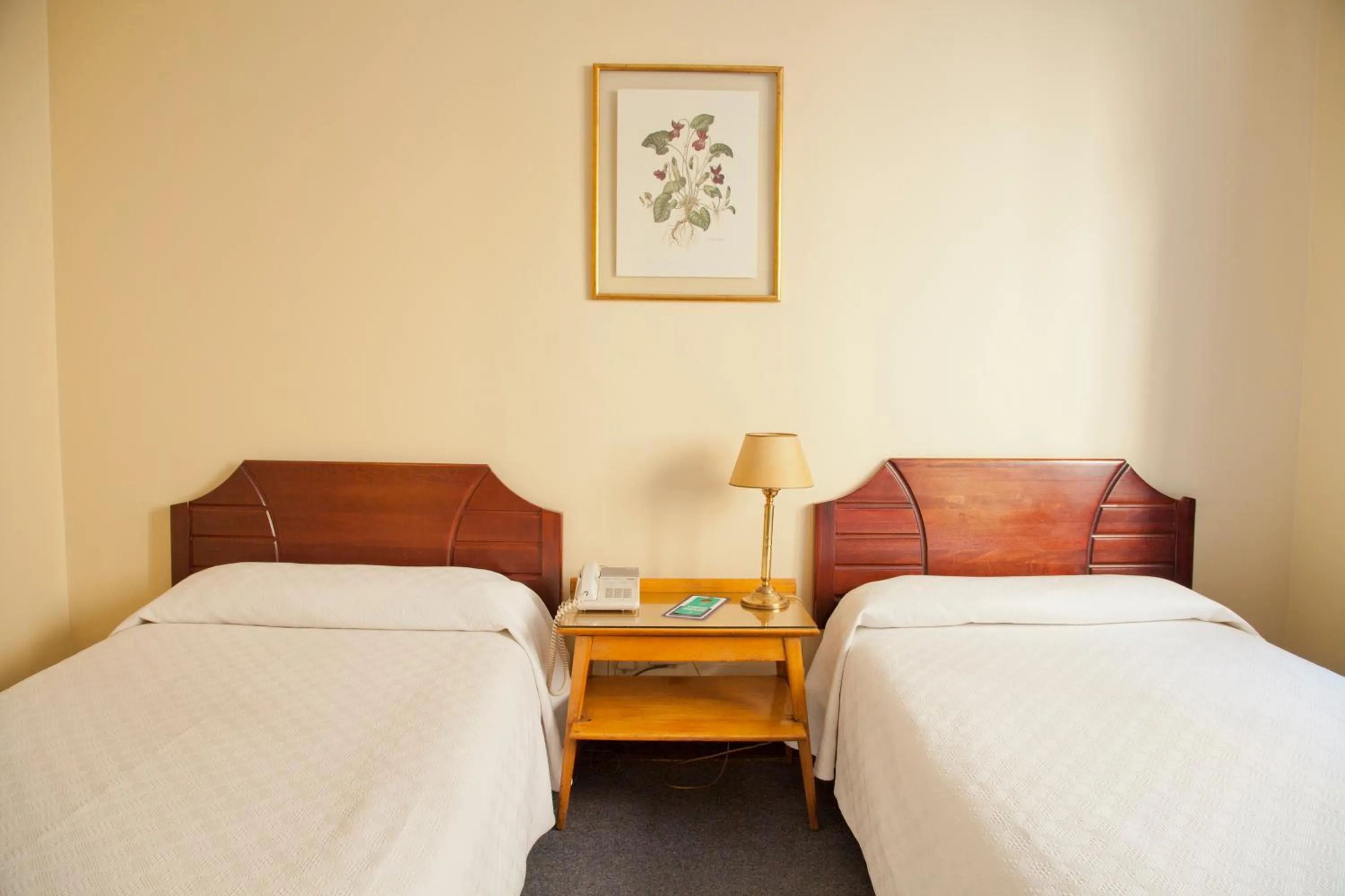 Bed in Hotel Santa Lucia